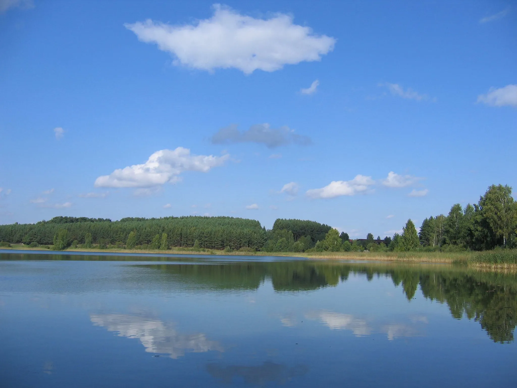 Photo showing: Lake Zbik - one of the most beautiful in Olsztyn.