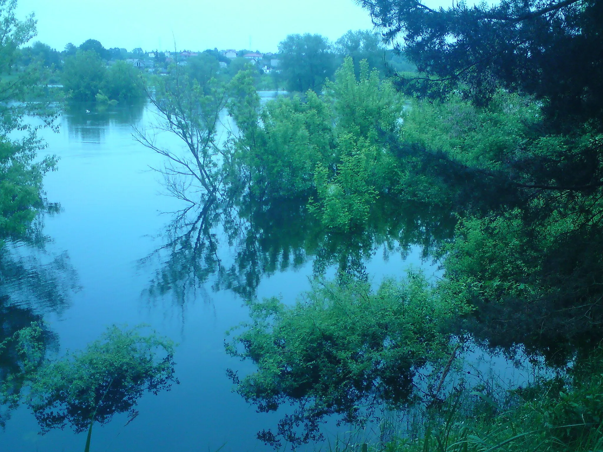 Photo showing: Maj 2010 powódź Poznań Warta