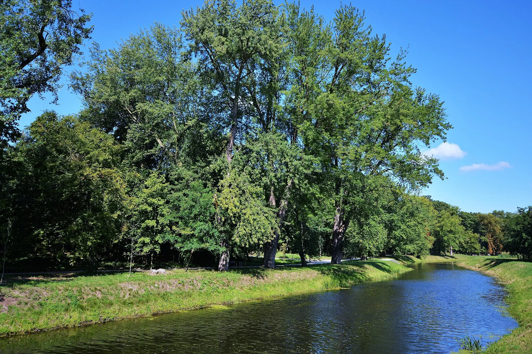 Zdjęcie: Wielkopolskie