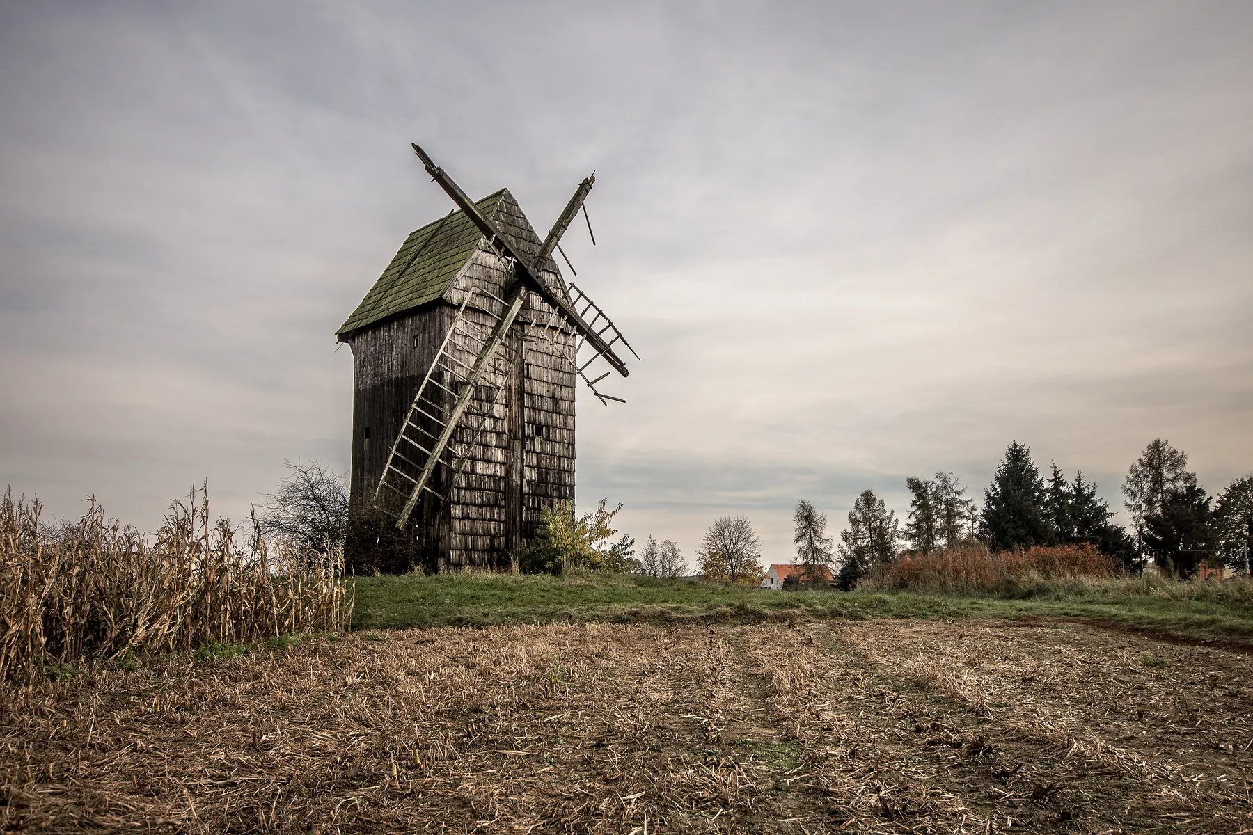 Zdjęcie: Wielkopolskie