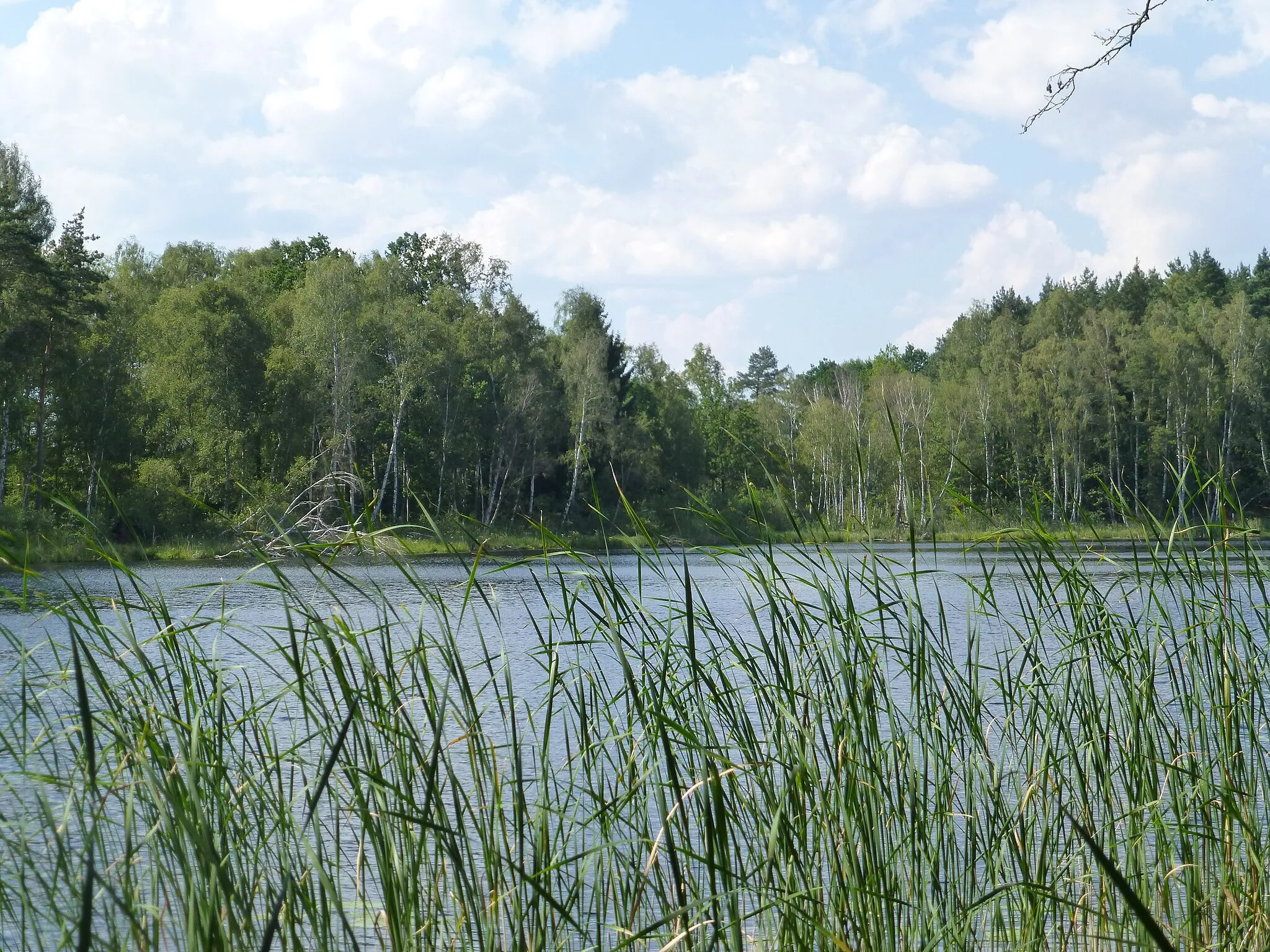 Zdjęcie: Wielkopolskie