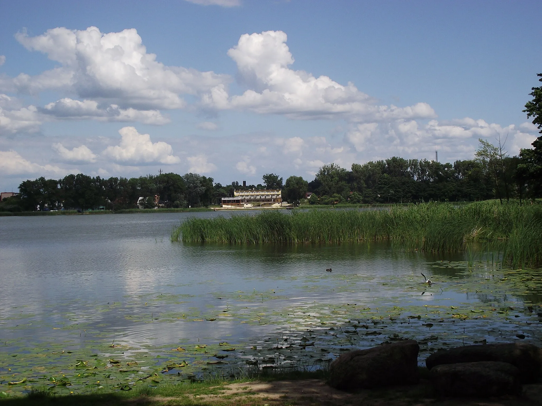 Photo showing: Międzychód - jezioro Kuchenne