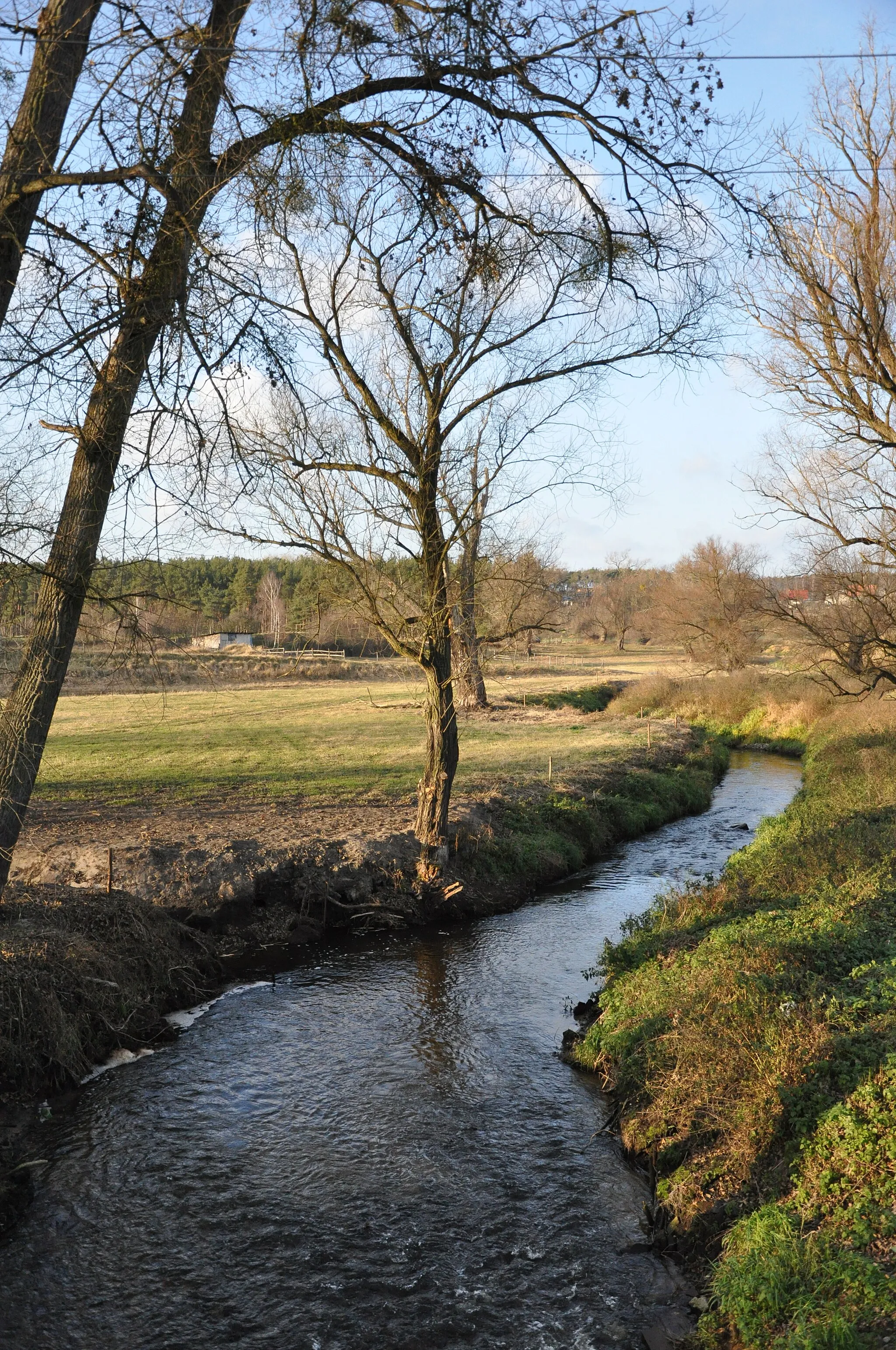 Photo showing: Rzeka Sama w Obrzycku, niedaleko swojego ujścia do Warty