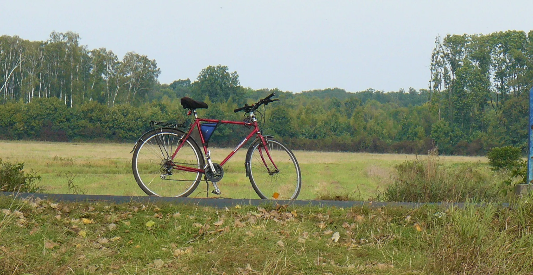 Photo showing: Cycling in Greater Poland.