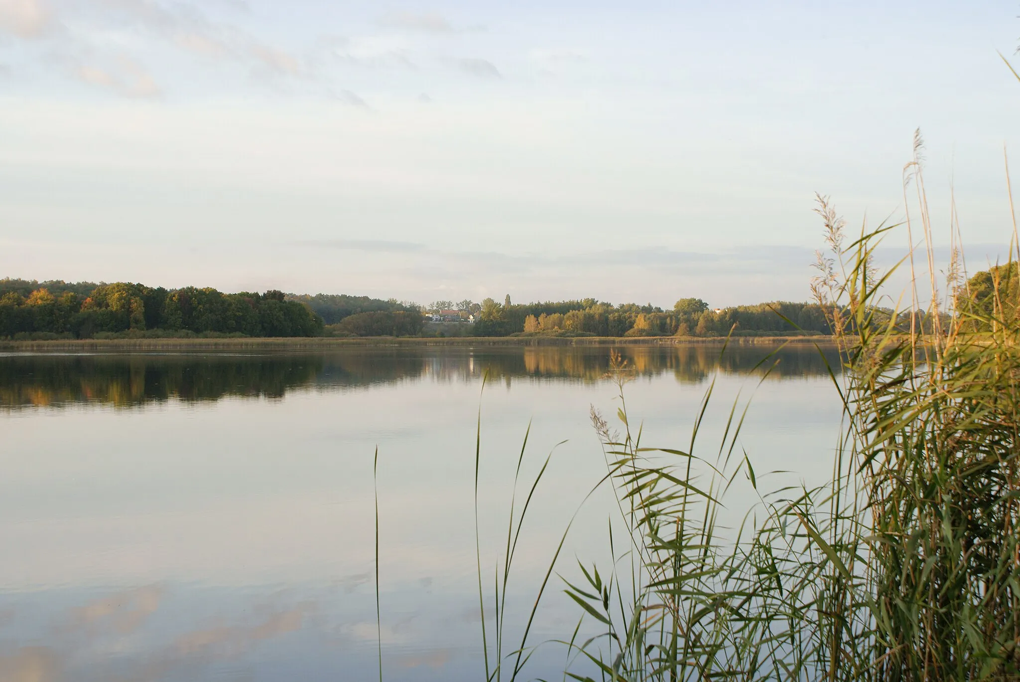 Photo showing: Swarzędzkie Lake