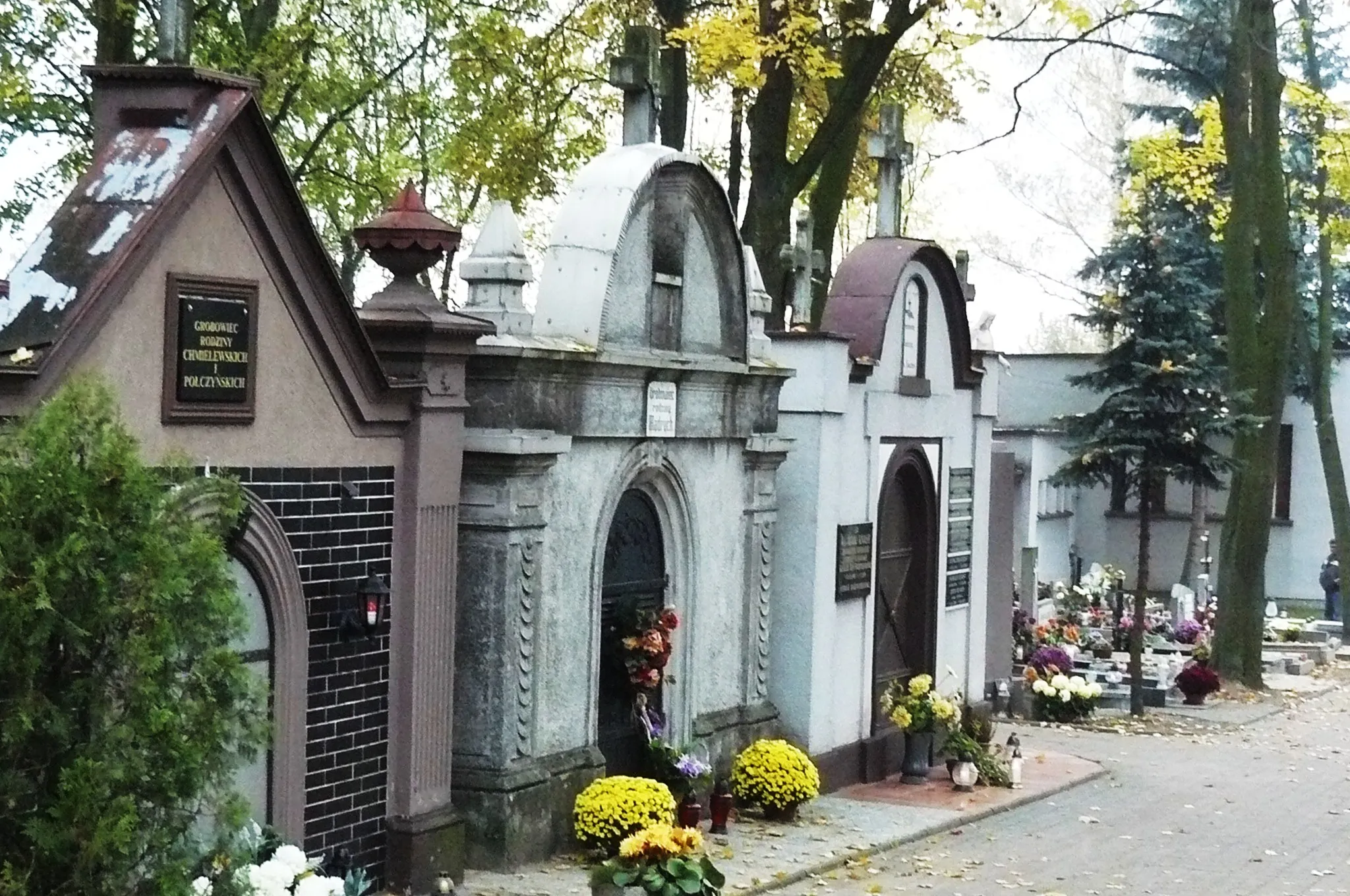 Photo showing: Cmentarz w Witkowie. 2014r.