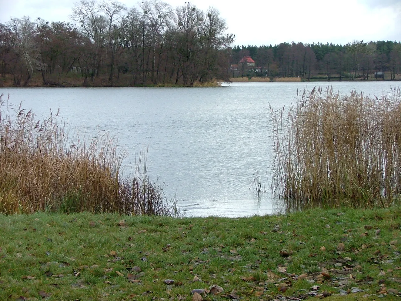 Photo showing: Raczynskie Lake from Zwola.