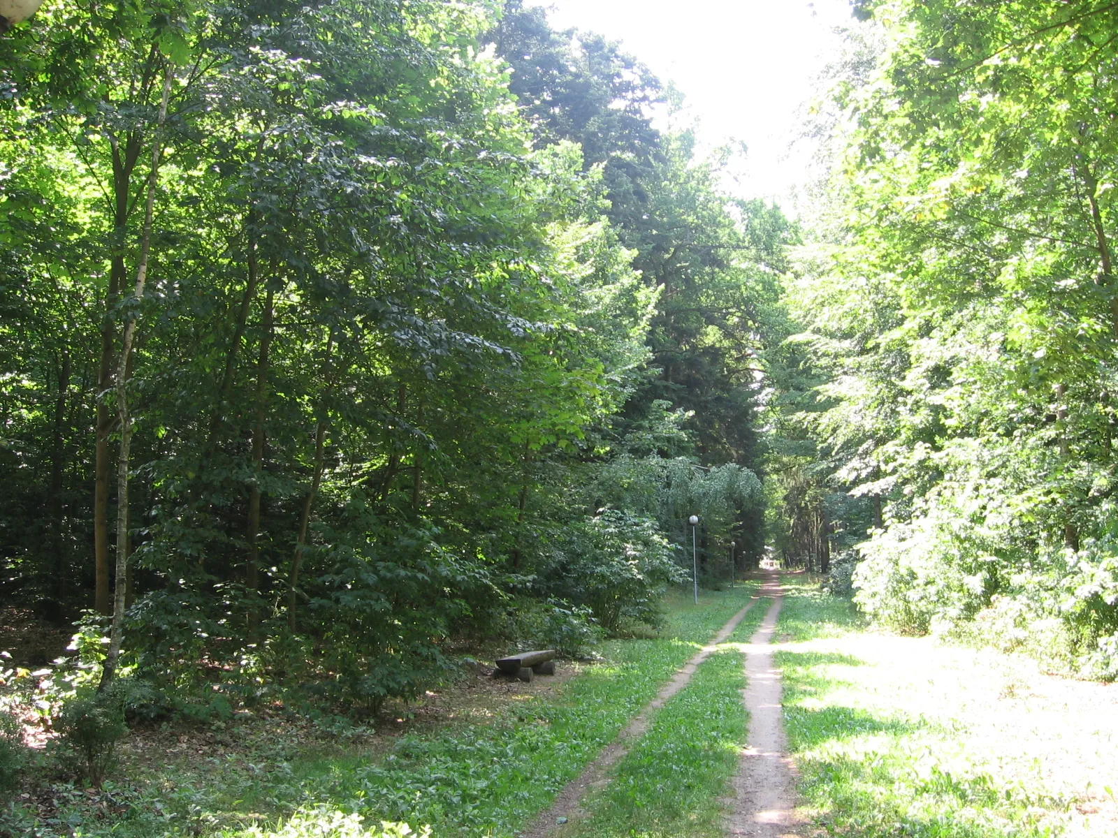 Photo showing: Park Zwierzyniec w Złotowie- Al. Petera Josepha Lennego.