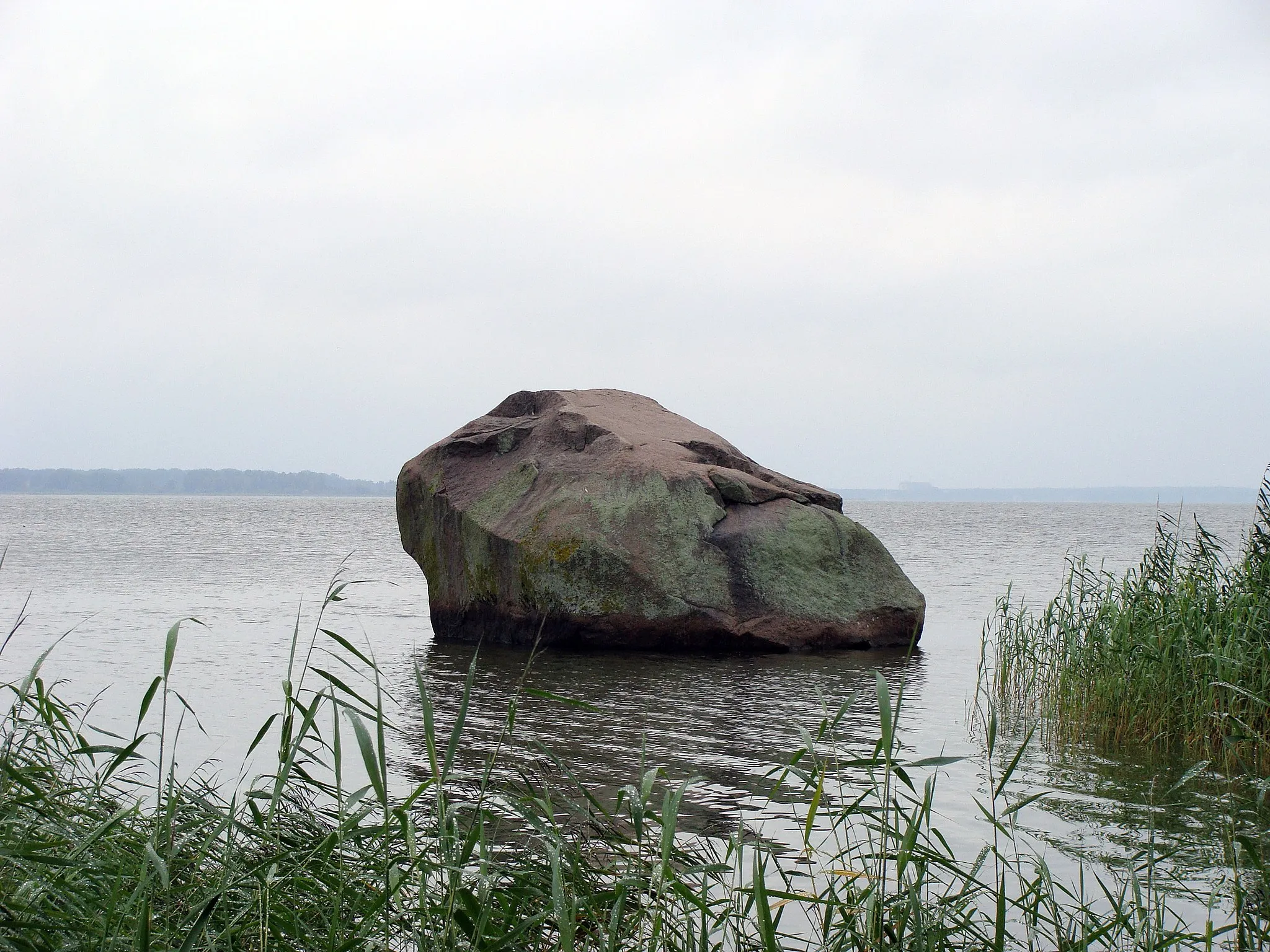 Photo showing: Kamień znajdujący się na północ od miejscowości Buniewice na wyspie Chrząszczewskiej, od którego wzięła się nazwa miasta Kamień Pomorski