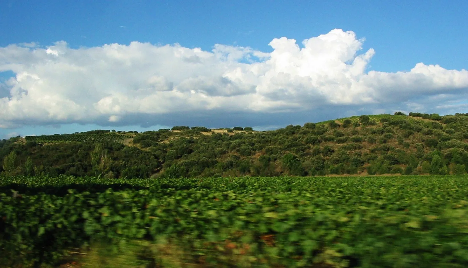 Image de Alentejo