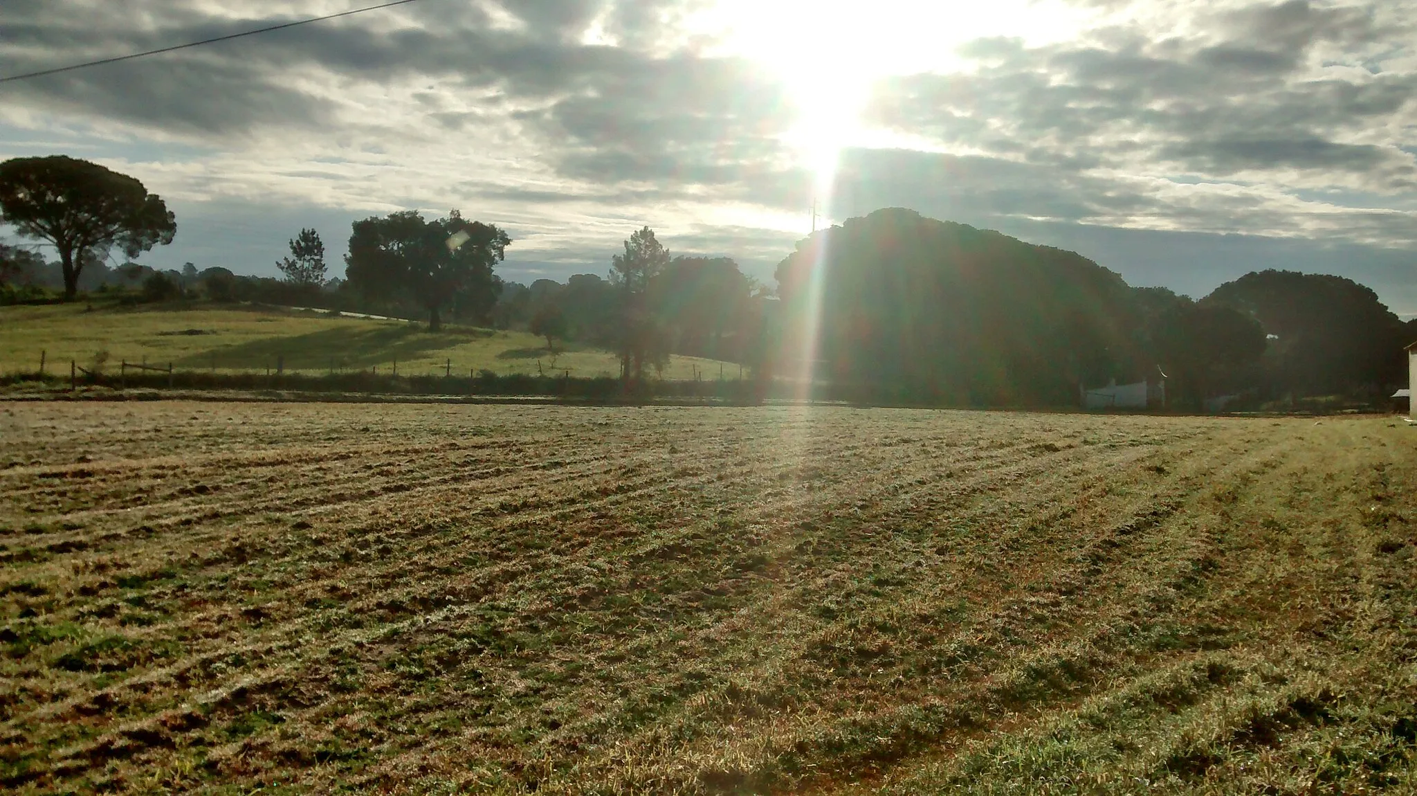 Photo showing: Campo em Montargil