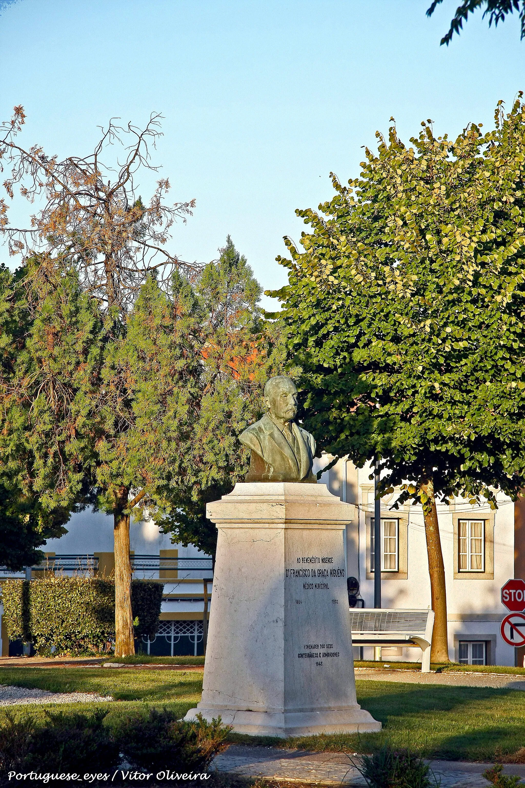 Photo showing: Monumento ao Dr. Francisco da Graça Miguéns - Nisa - Portugal 🇵🇹