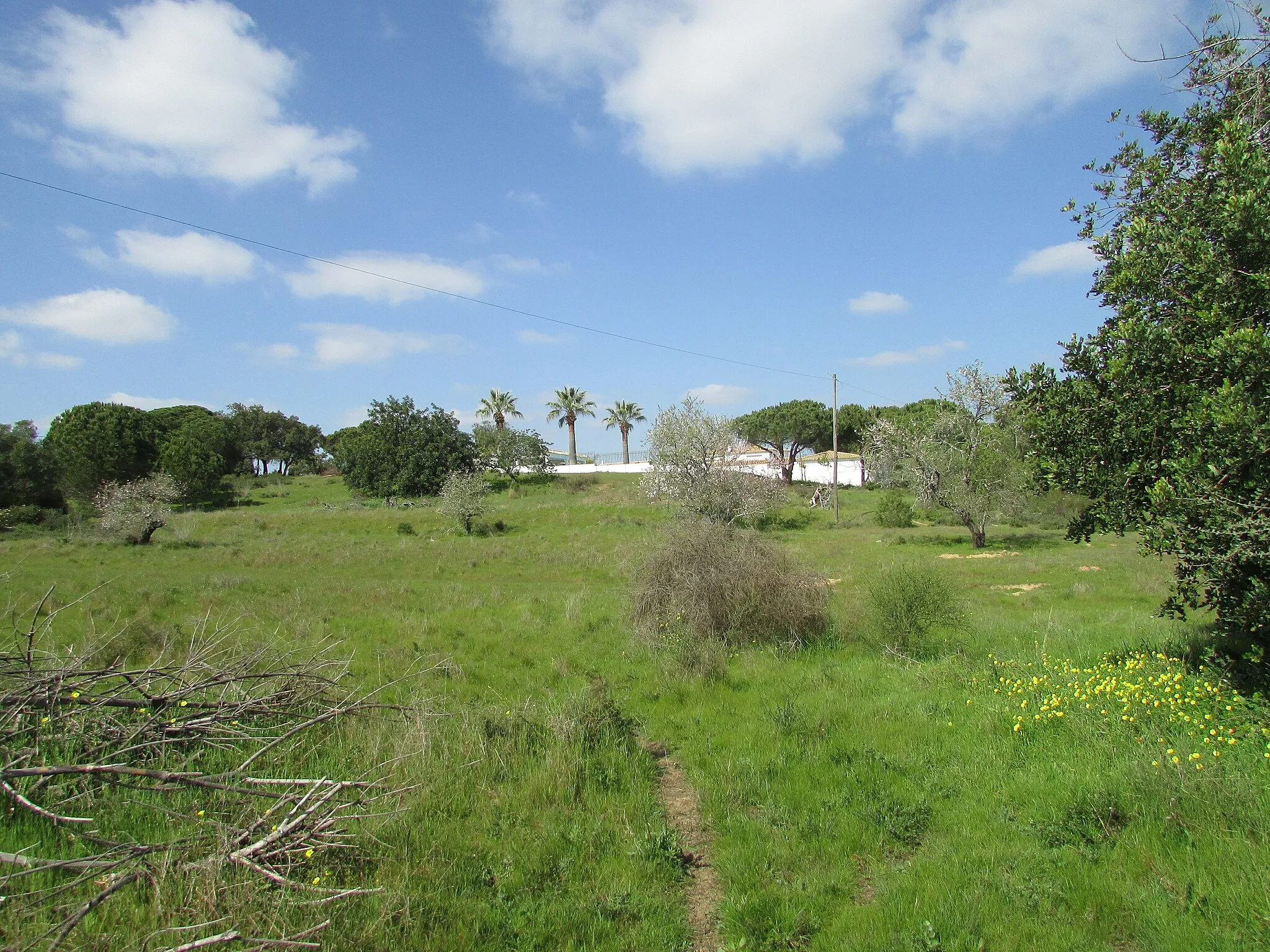 Photo showing: A view of the countryside north of the village of Olhos de Água, Albufeira, Algarve, Portugal.
