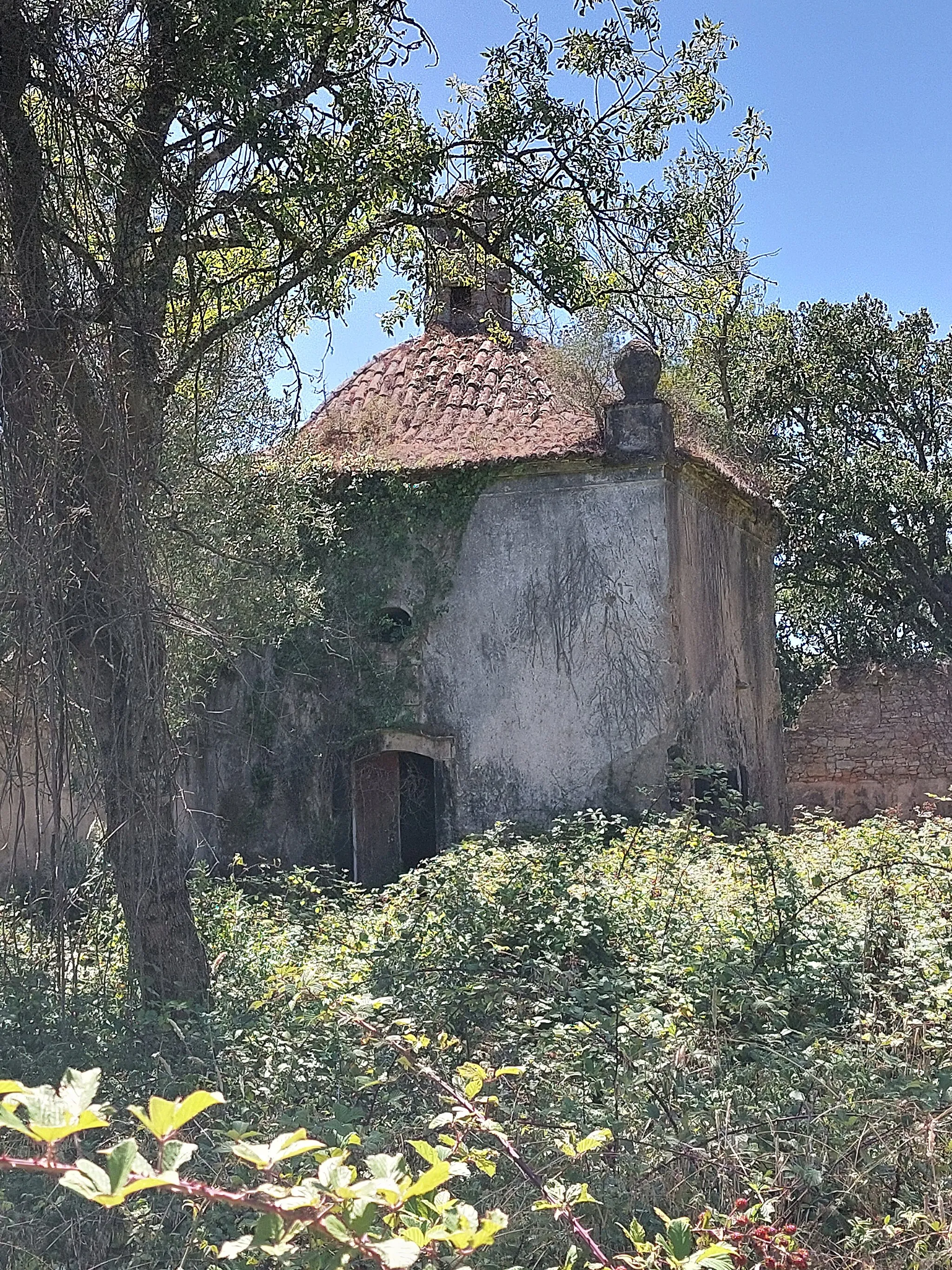 Photo showing: Acesso à Ermida de Vila Verde de Mato está coberto por silvado. As coordenadas do SIPA apontam para 850m para sul da localização real da Ermida em 39.32683822246368, -9.083968585644051.