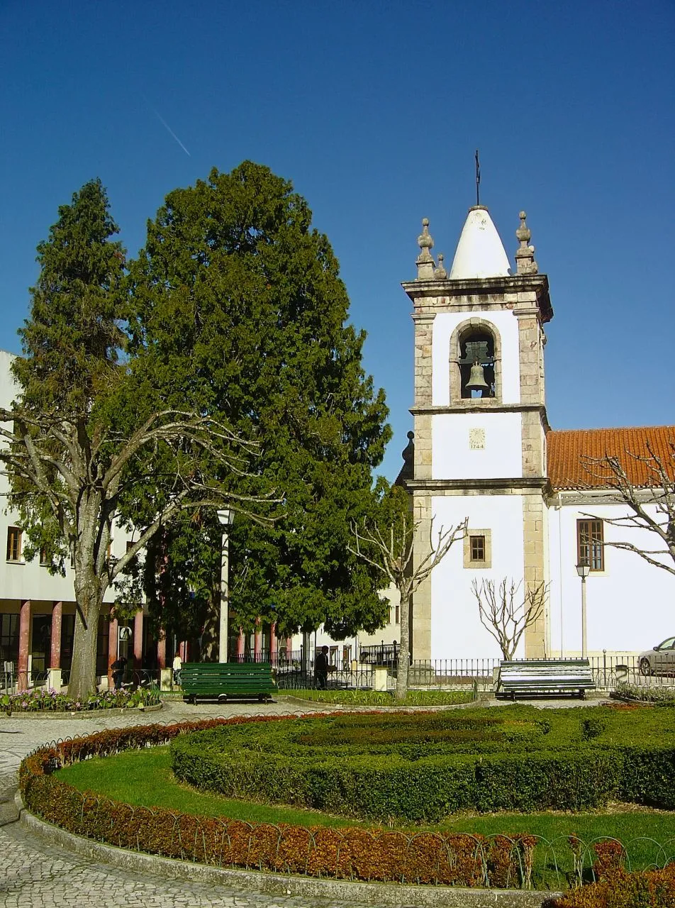 Image of Centro (PT)