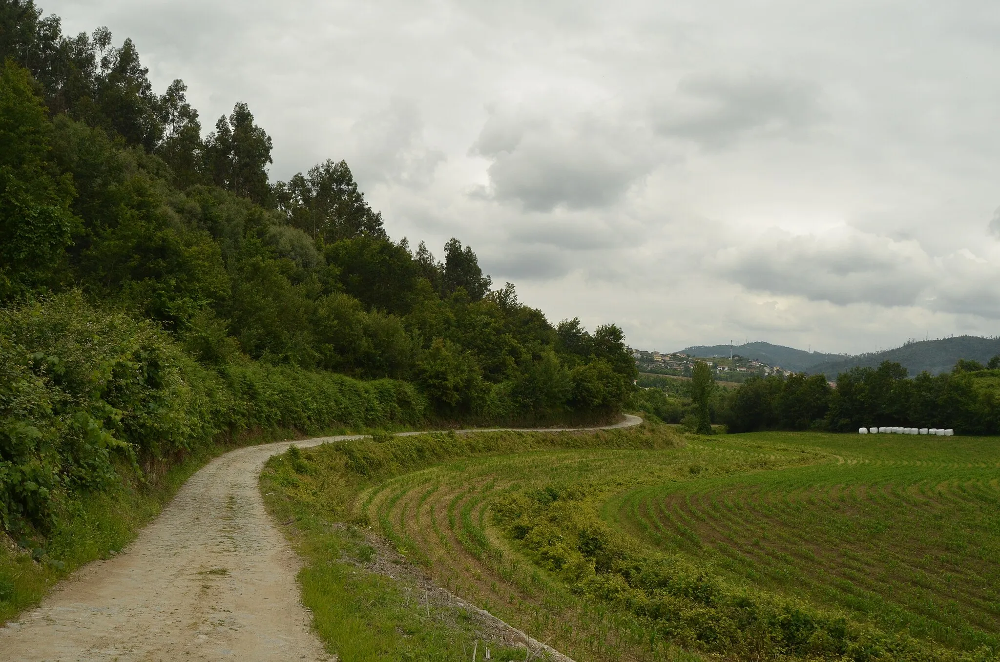 Photo showing: Caminhos Medievais II