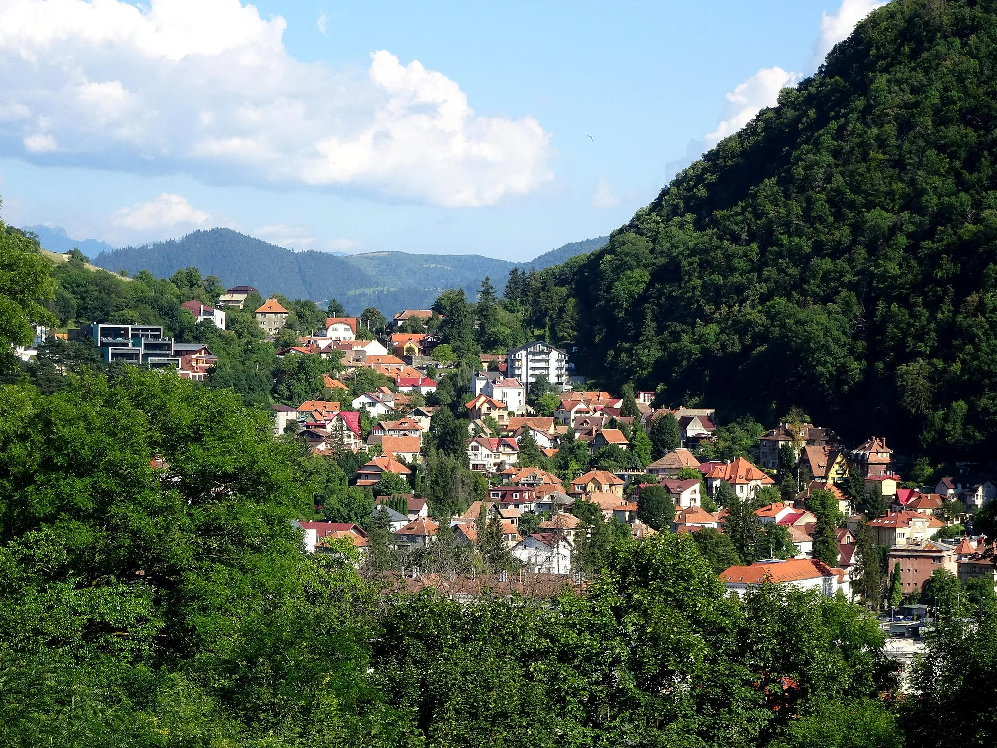 Photo showing: Blumana district in Brasov, summer