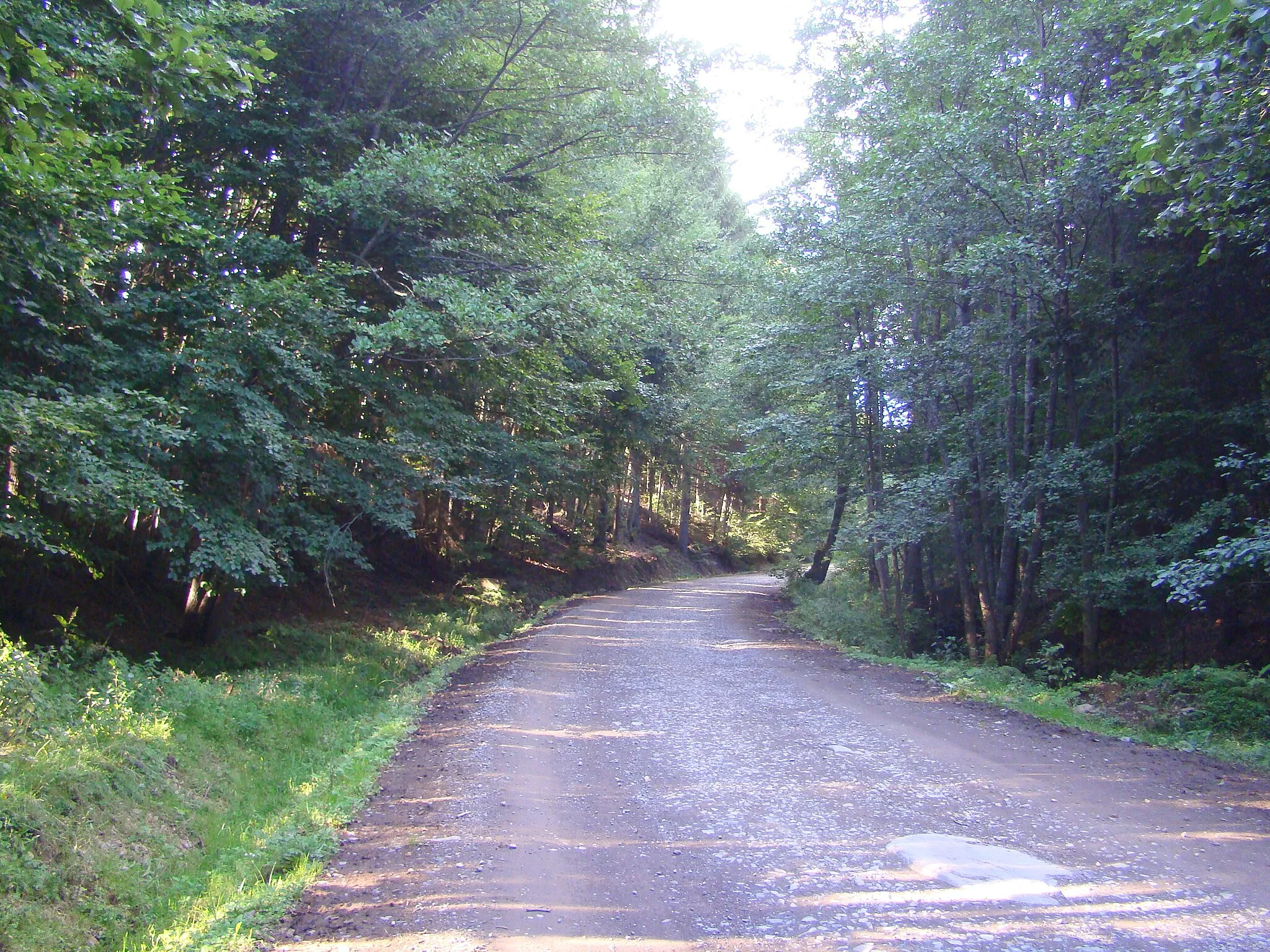 Photo showing: Road Corund-Valea lui Pavel in Harghita County, Romania