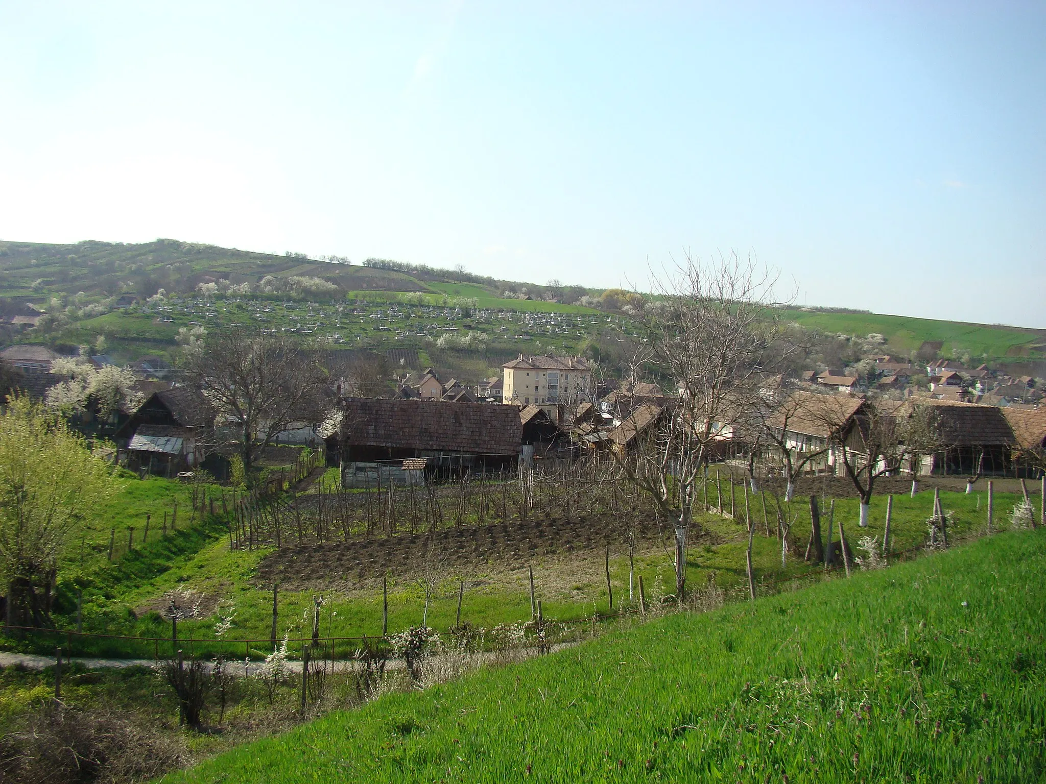 Photo showing: Cucerdea, Mureș county, Romania