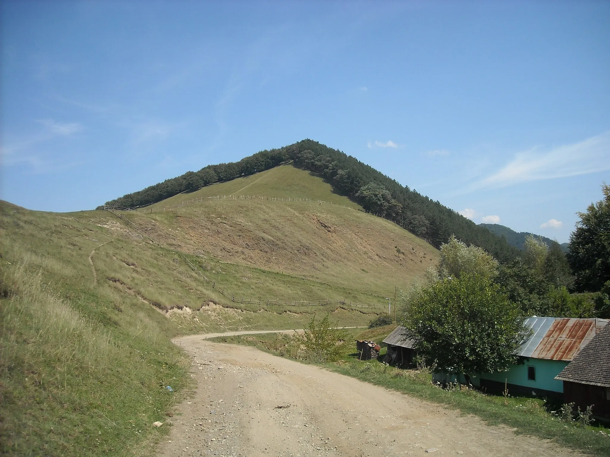 Photo showing: the castle hill (Cetăţuia) in Cugir, Romania