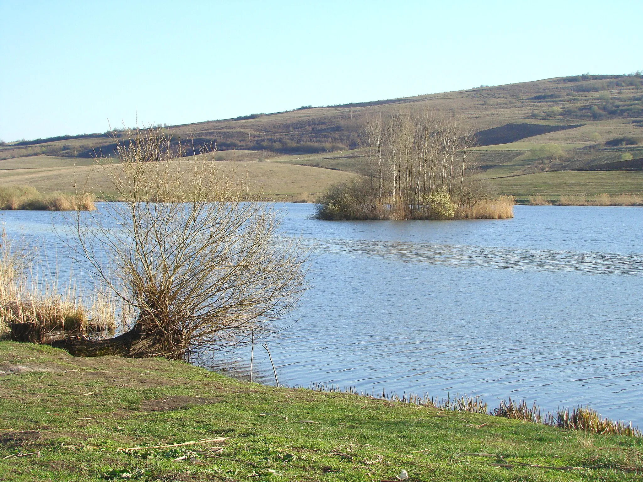 Photo showing: Lake Fărăgău, Mureş county, Romania