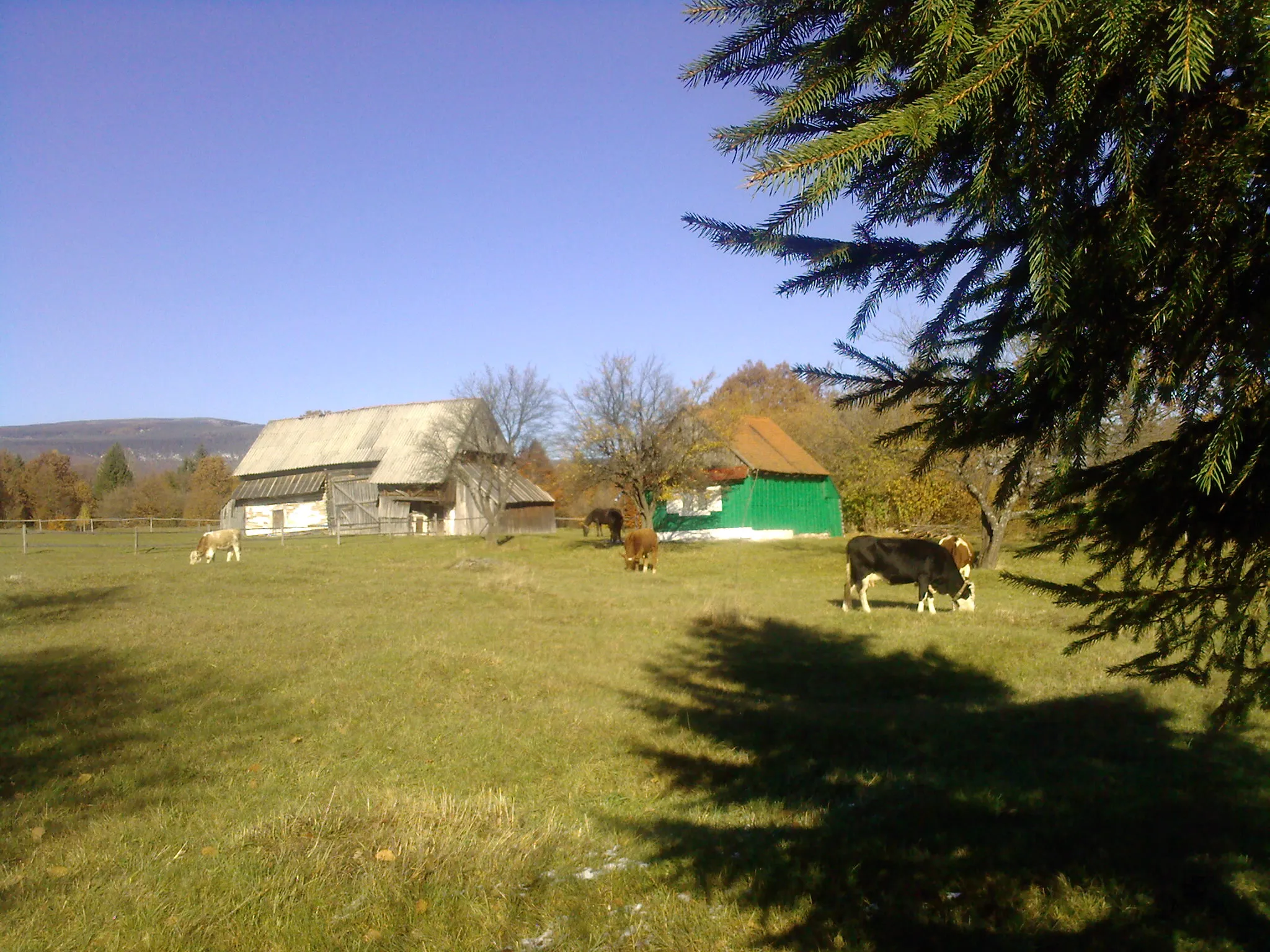 Photo showing: Rural landscape, Lueta, Harghita County, Romania