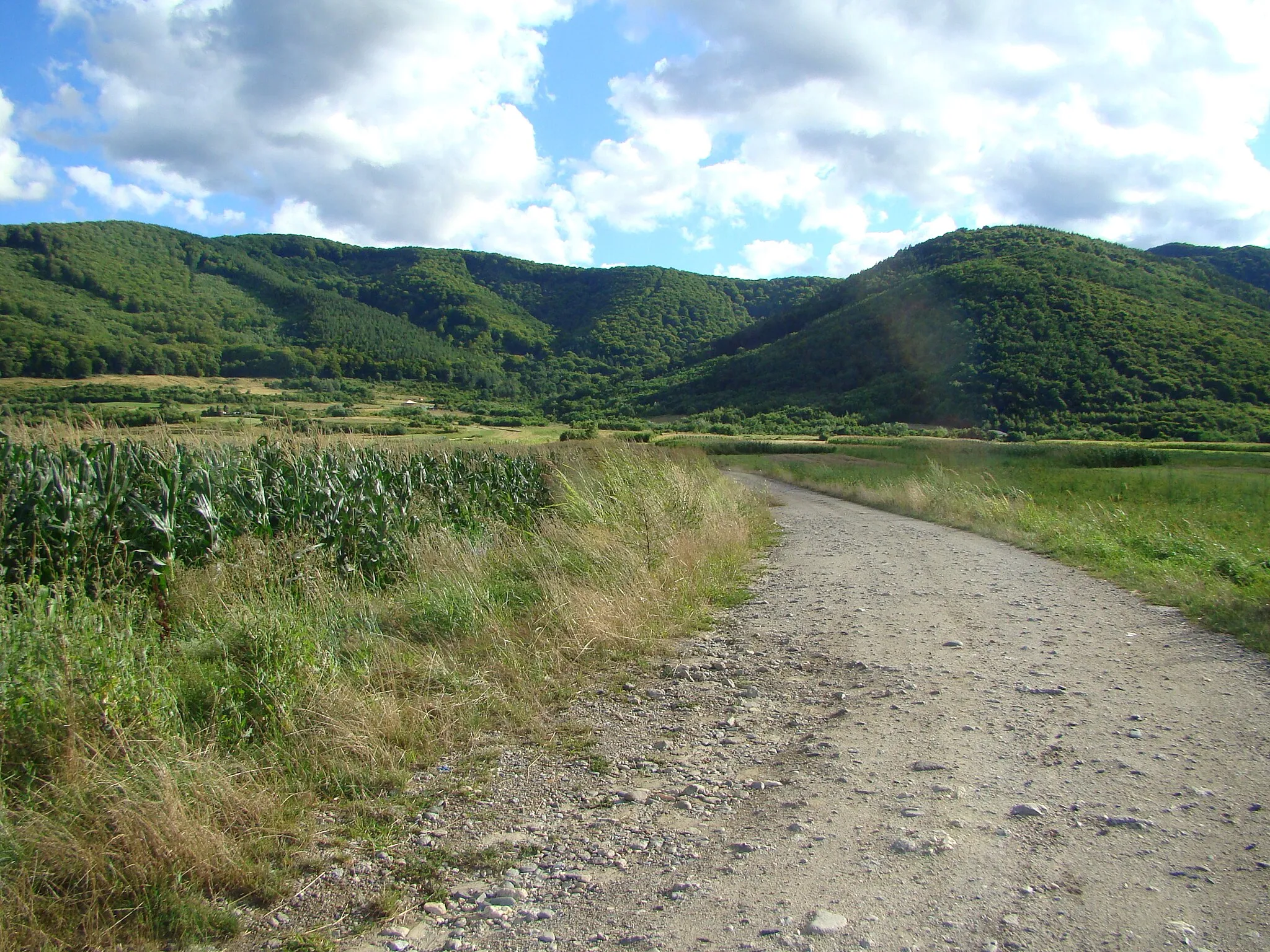 Photo showing: Poplaca, Sibiu County, Romania