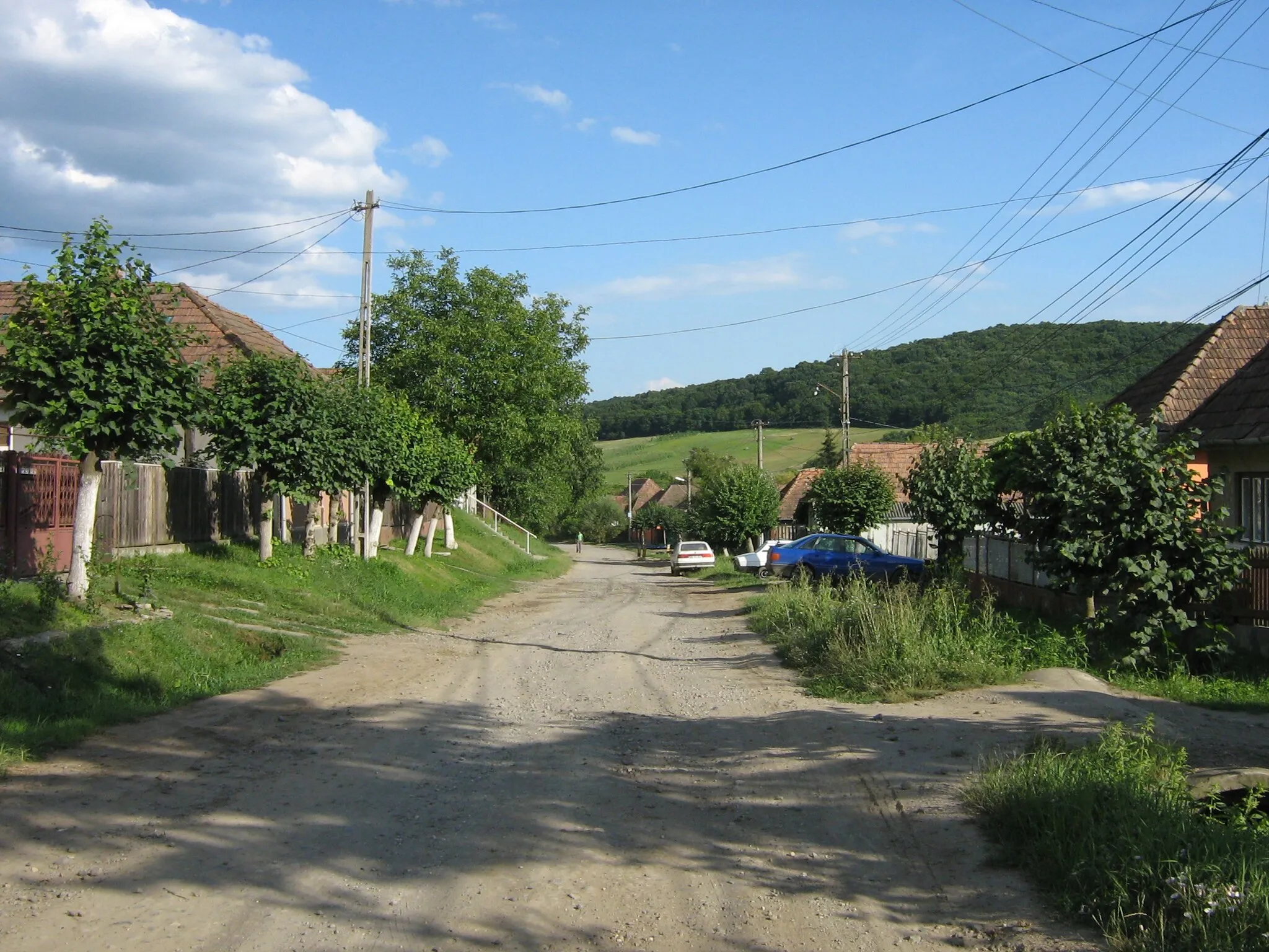 Photo showing: Remetea street (Targu Mures)