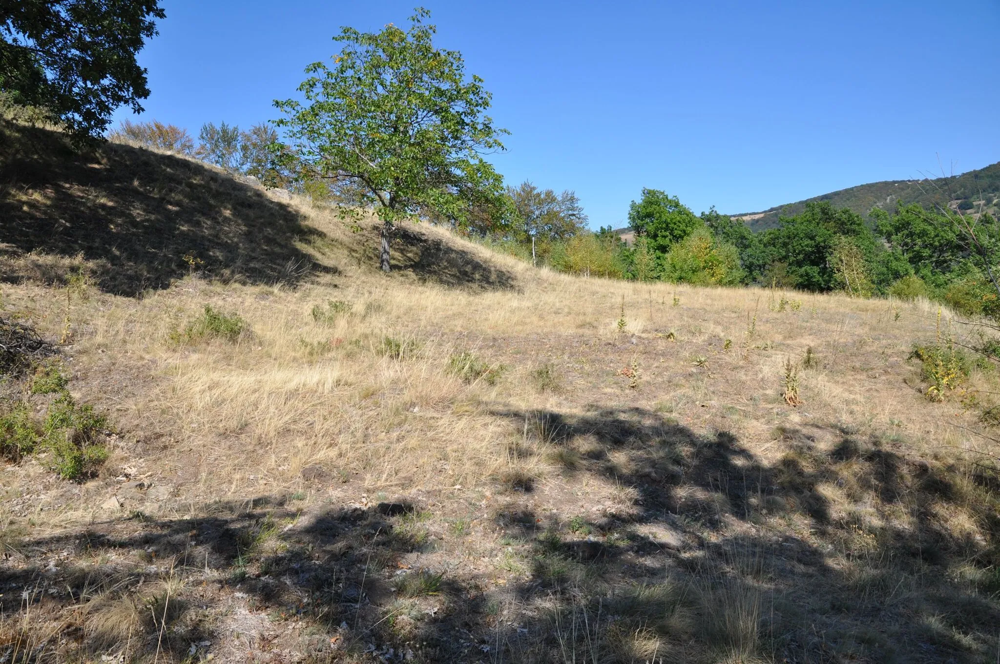 Photo showing: Dacian Fortress of Căpâlna, Alba County, România