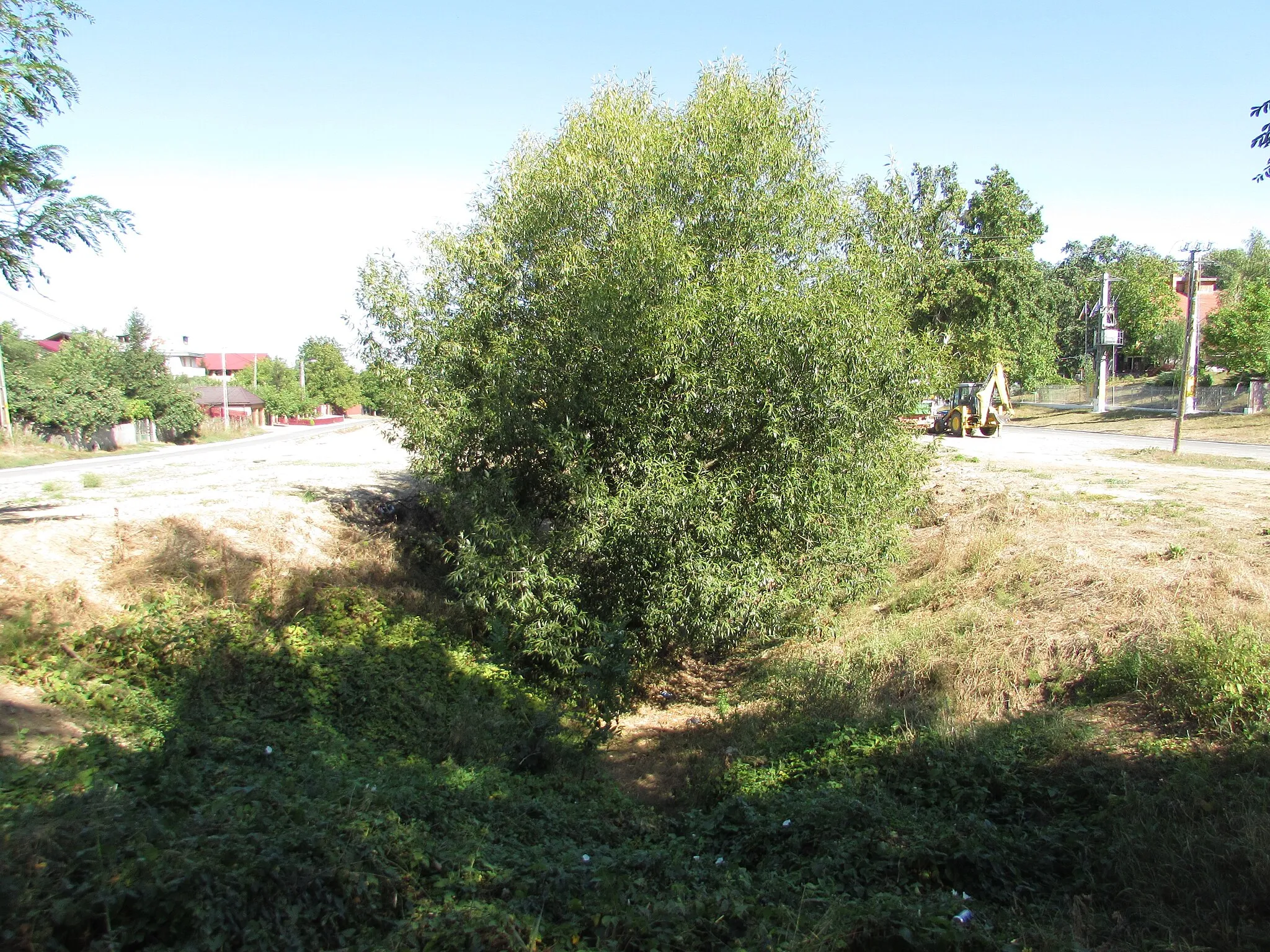 Photo showing: Image from Bârnova, Iași