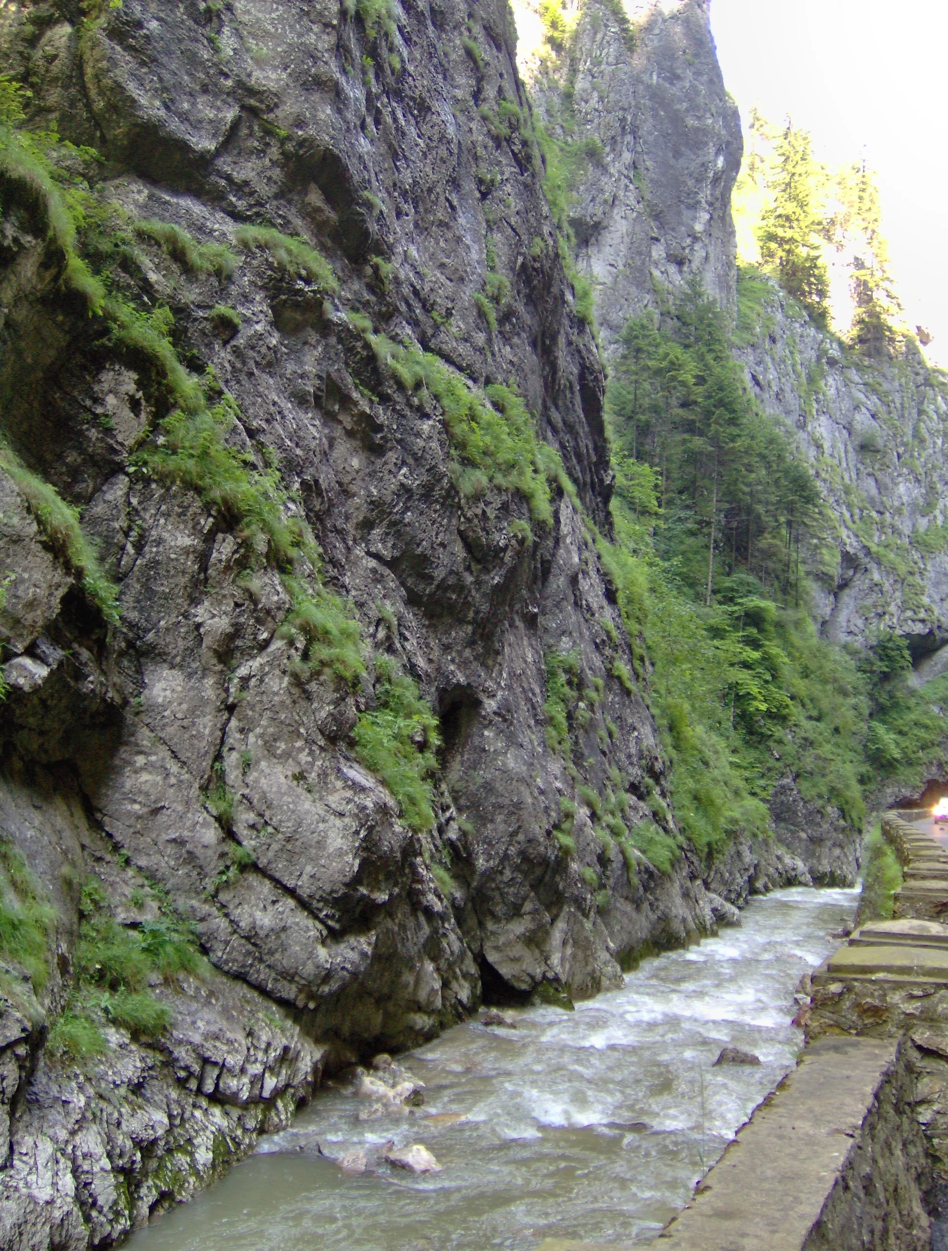 Photo showing: Cheile Bicazului, 2006

Bicaz Canyon, 2006