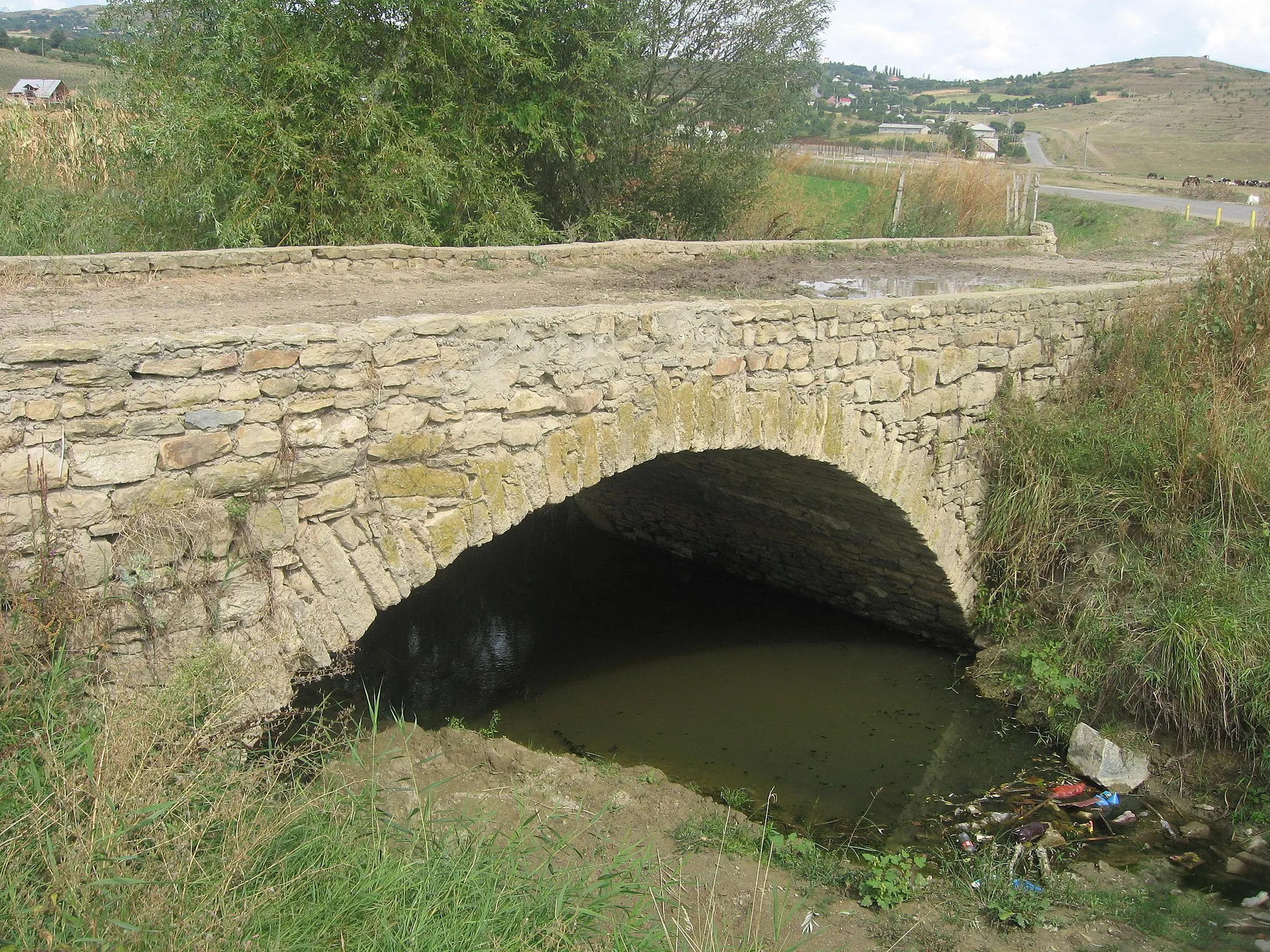 Photo showing: Podul medieval din Cârjoaia