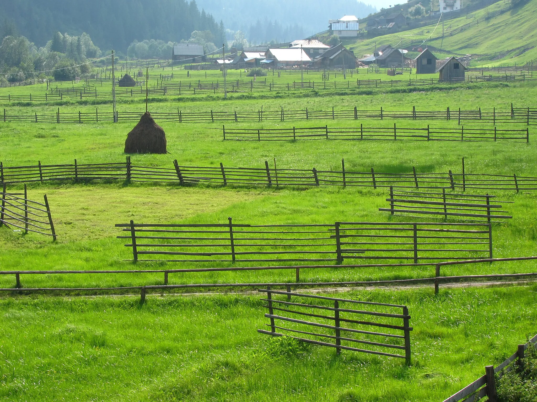 Photo showing: Meadows near Panaci, Suceava County, Romania