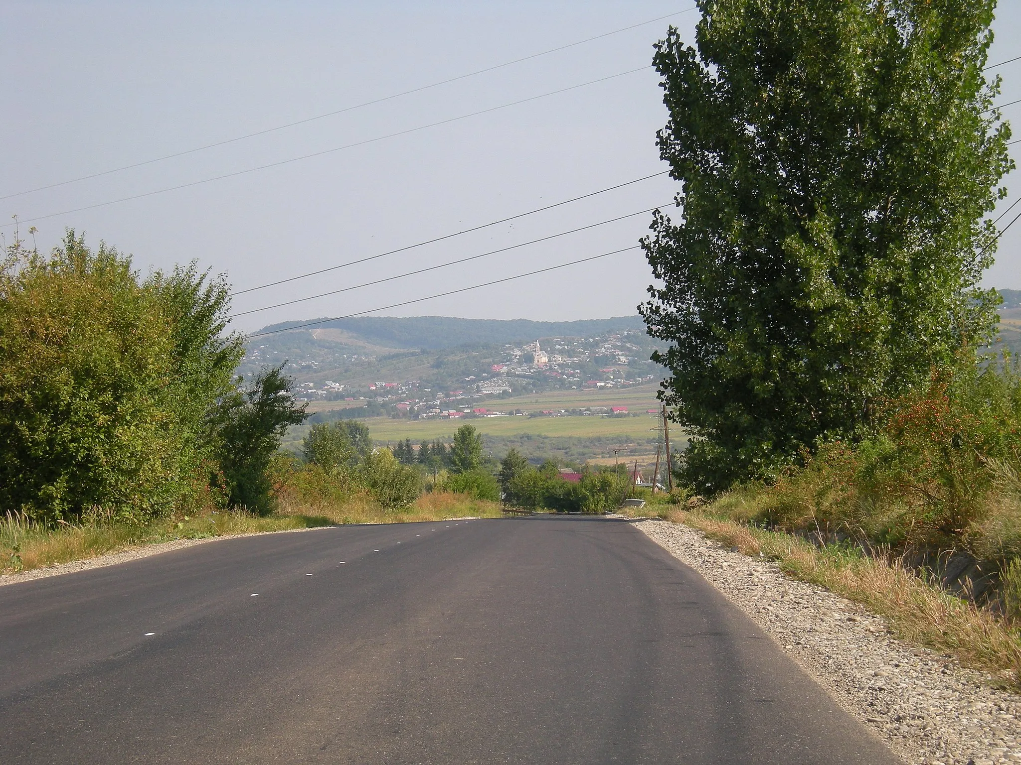 Photo showing: Vedere spre Pustiana, Bacău de pe DJ 156 A Ardeoani, Bacău–Roznov, Neamț.