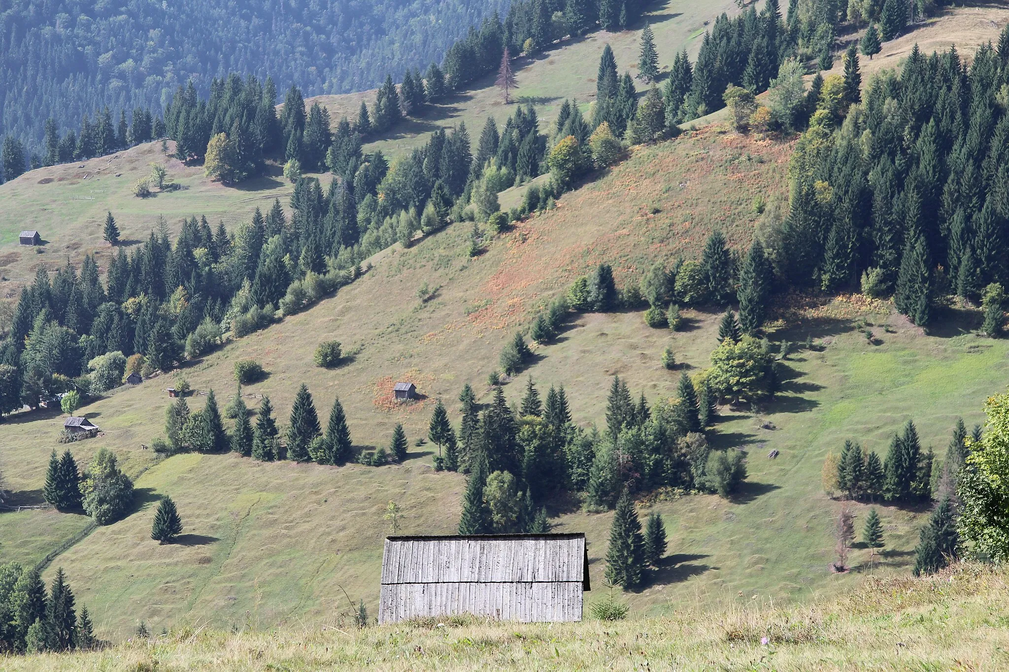 Photo showing: Karpatenlandschaft bei Slatioara (Nähe Campulung Moldovenesc), Kreis Suceava, Rumänien