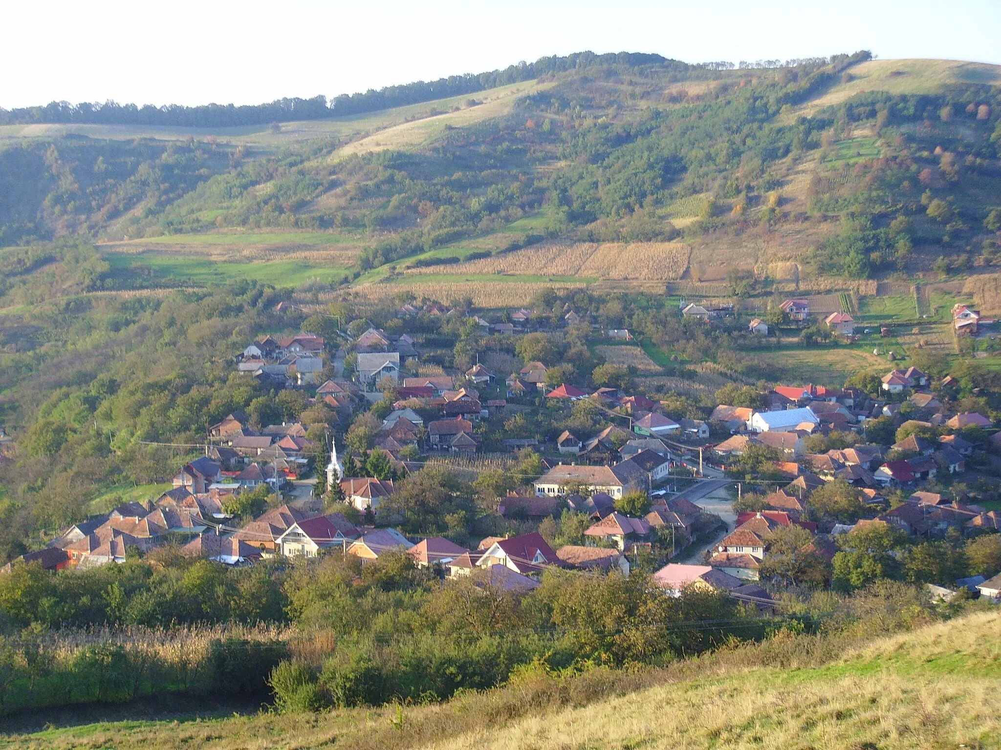Image of Bălan