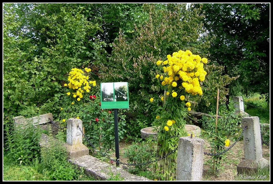 Photo showing: Coltău, Romania