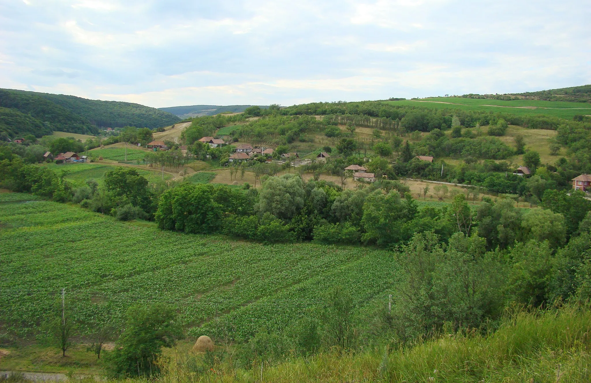 Photo showing: Dăbâca, Cluj county, Romania