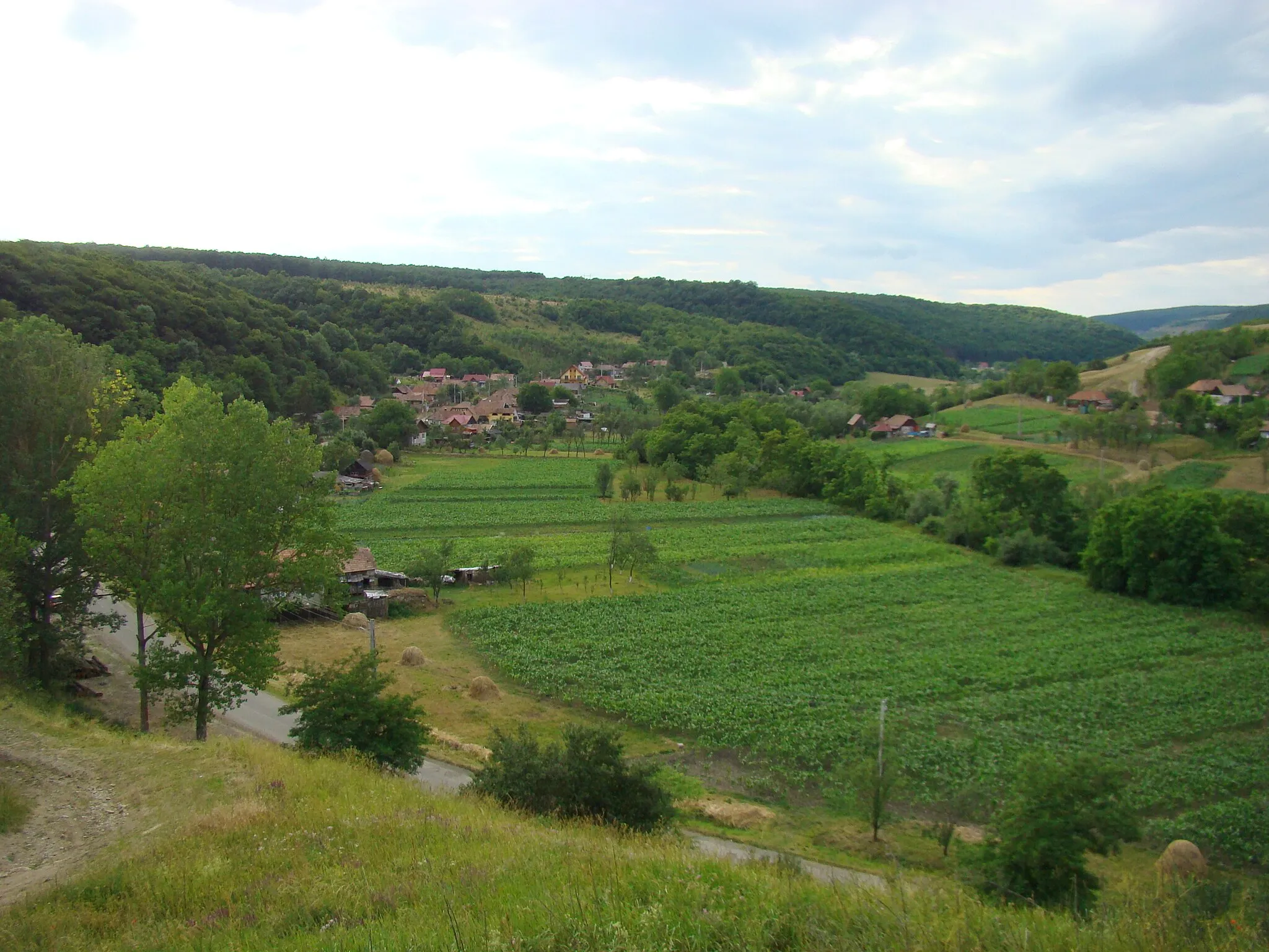 Photo showing: Dăbâca, Cluj county, Romania