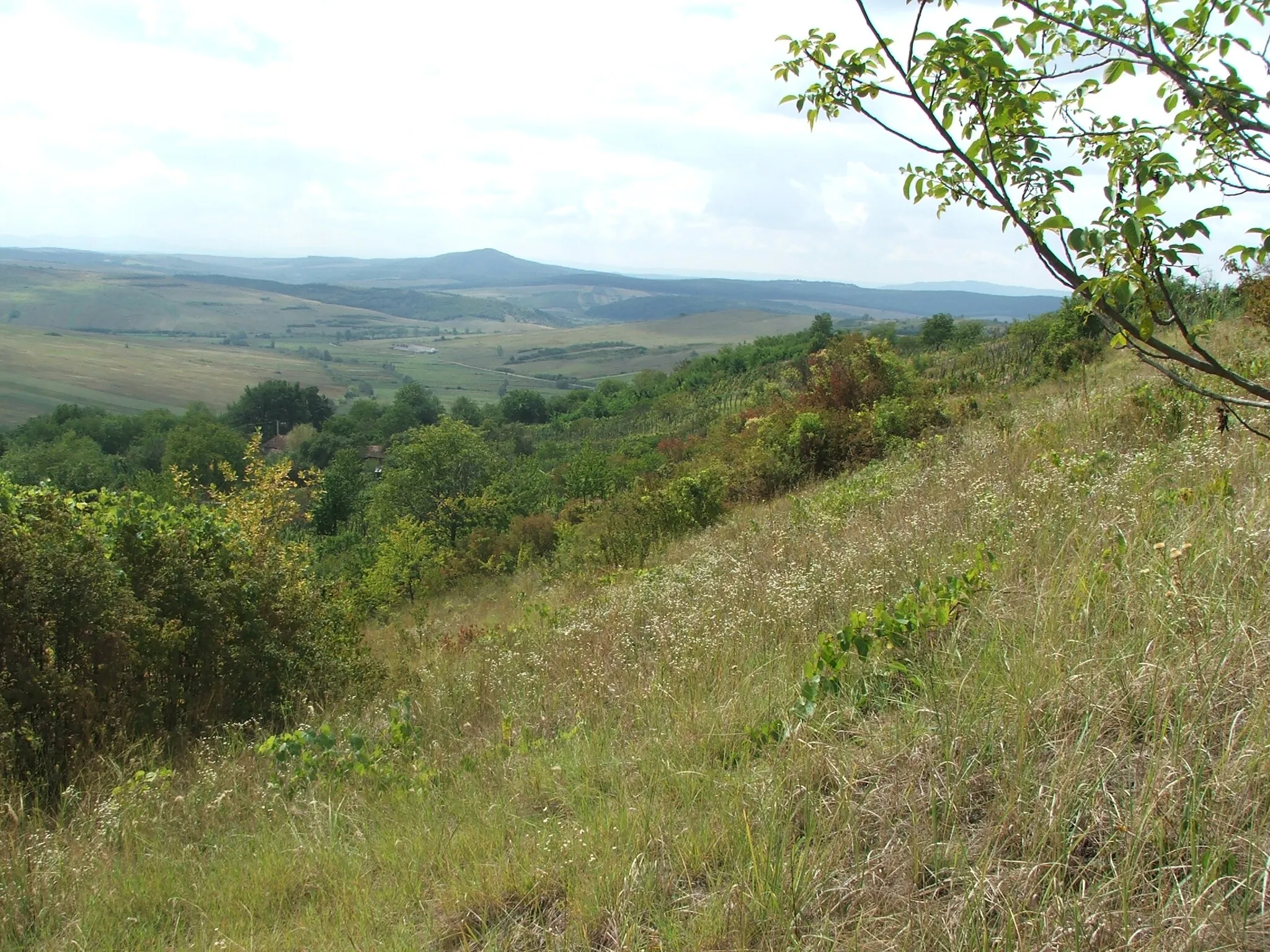 Photo showing: Hadad surroundings 2