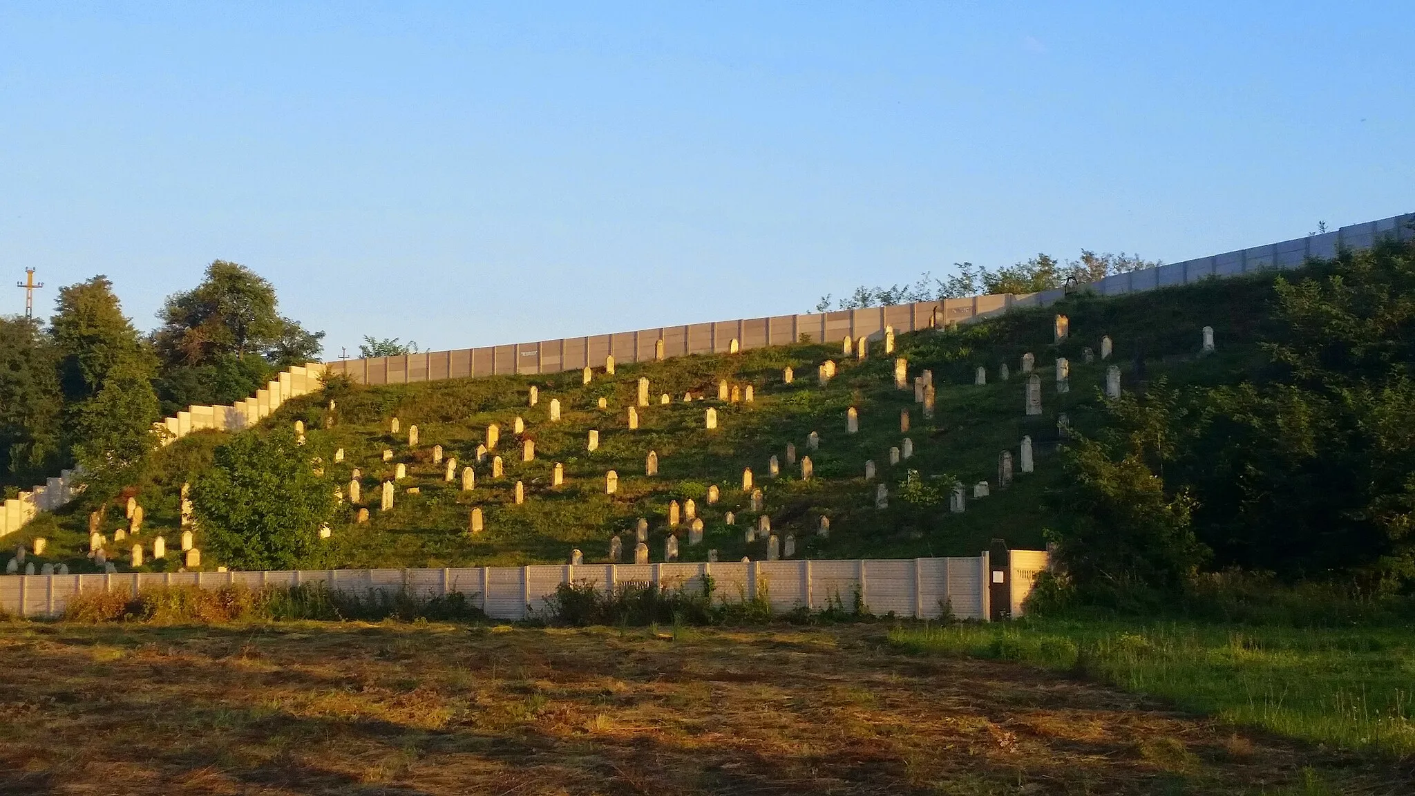 Photo showing: Jewish Cemetery, Nimigea