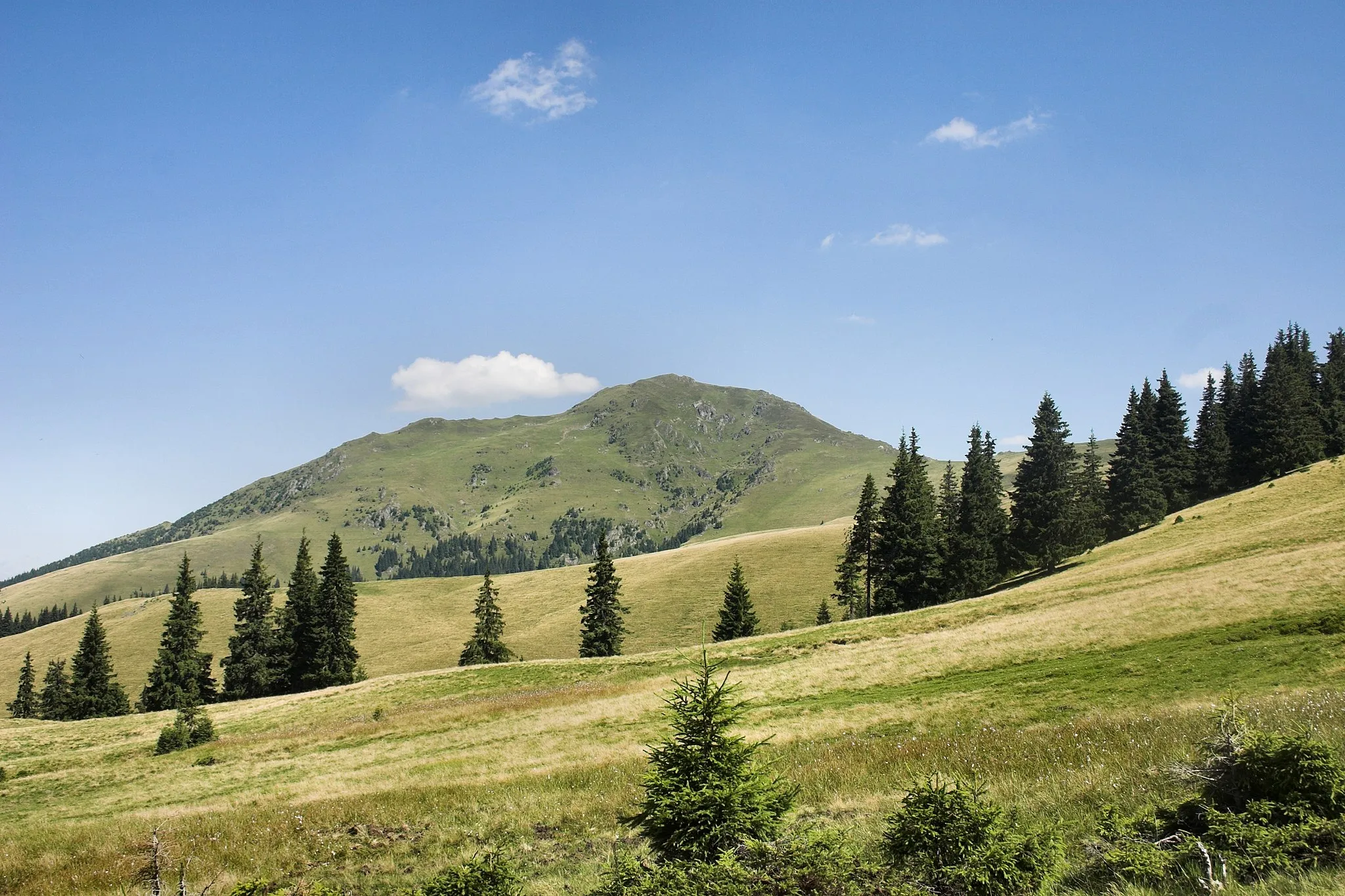 Zdjęcie: Nord-Vest