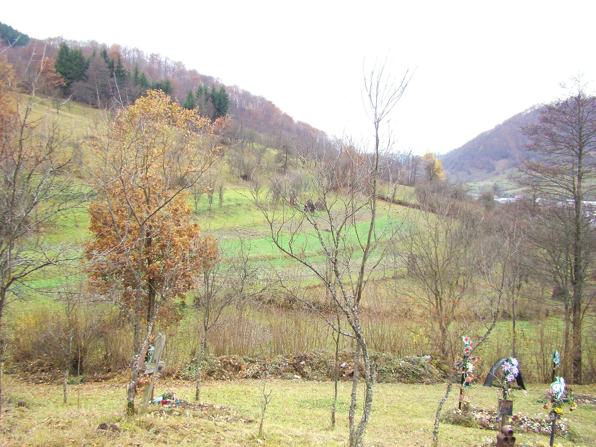 Photo showing: Biserica de lemn „Cuvioasa Paraschiva”, sat Valea Stejarului, județul Maramureș