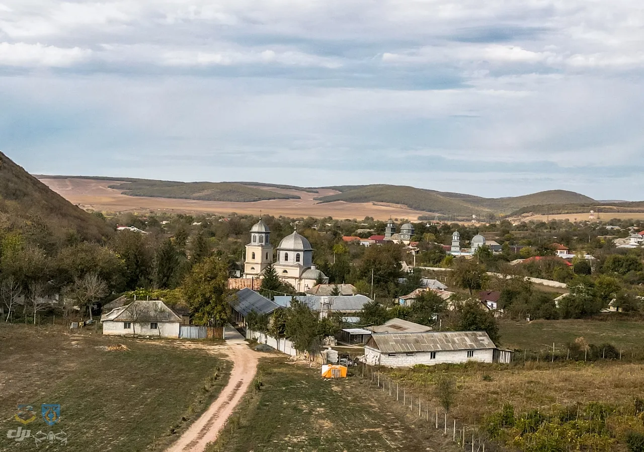 Image of Slava Rusă