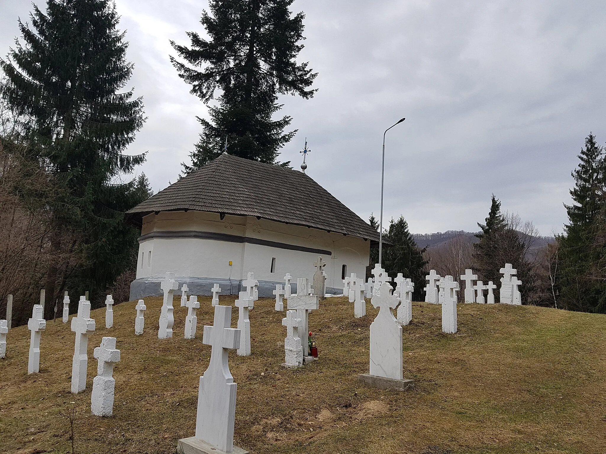 Photo showing: This is a photo of a historic monument in județul Vâlcea, classified with number VL-II-m-B-09633.02.