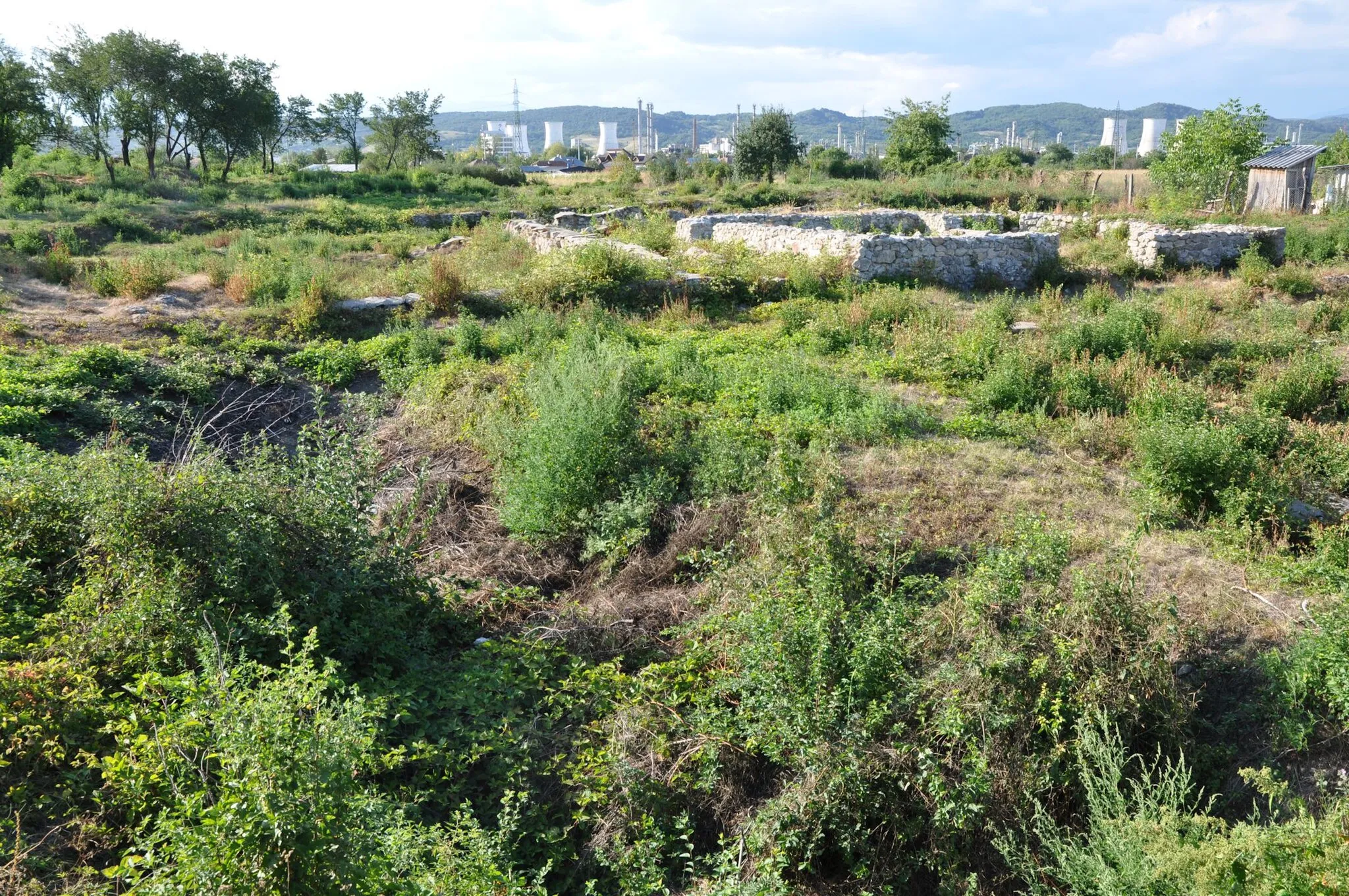 Photo showing: Castra Buridava from Stolniceni, Romania