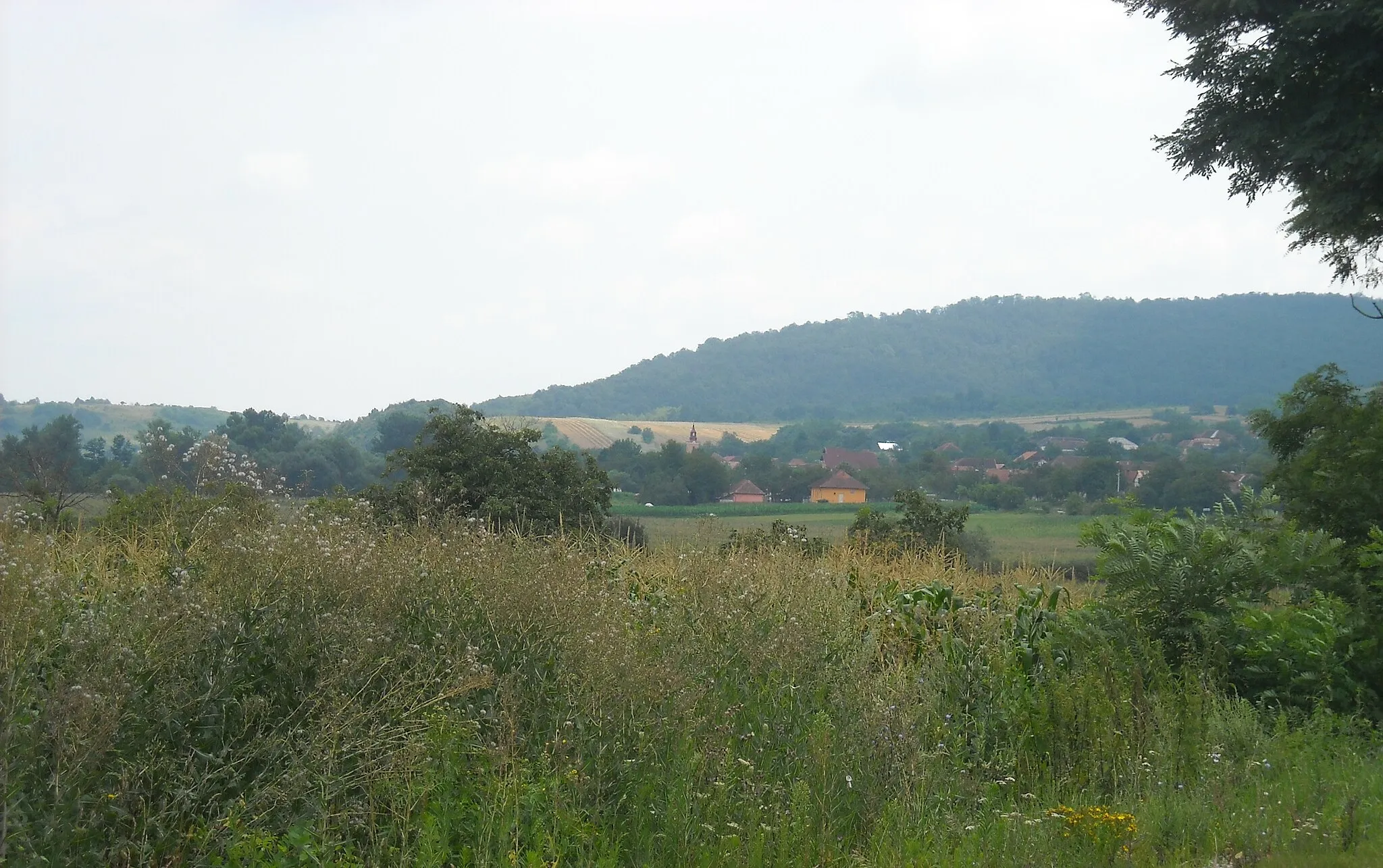 Image of Almaş