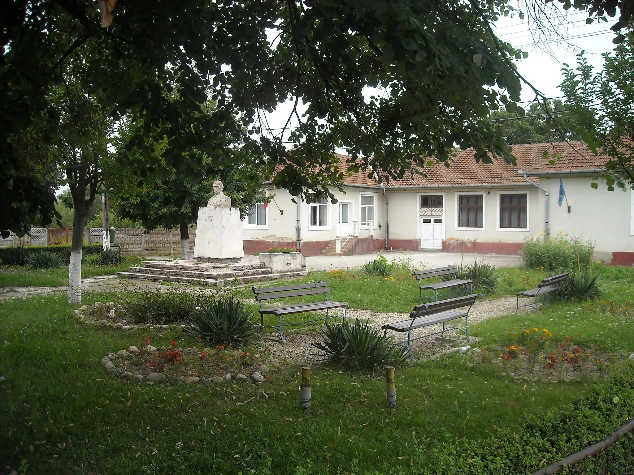 Image of Băcia