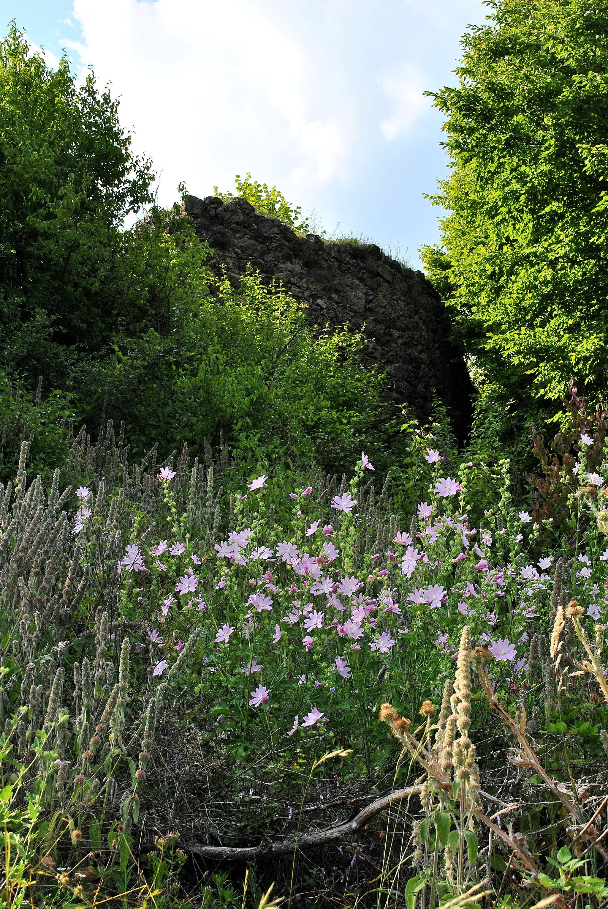 Photo showing: Cetatea Jdioarei