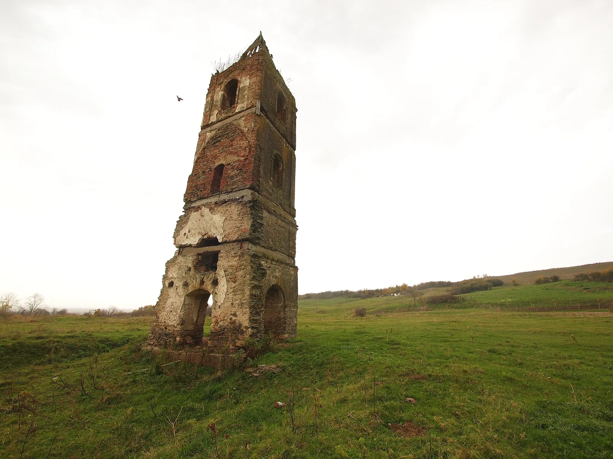 Photo showing: Ruined tower in Grădinari village, Caraș-Severin county, Romania